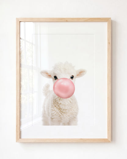 Baby Lamb