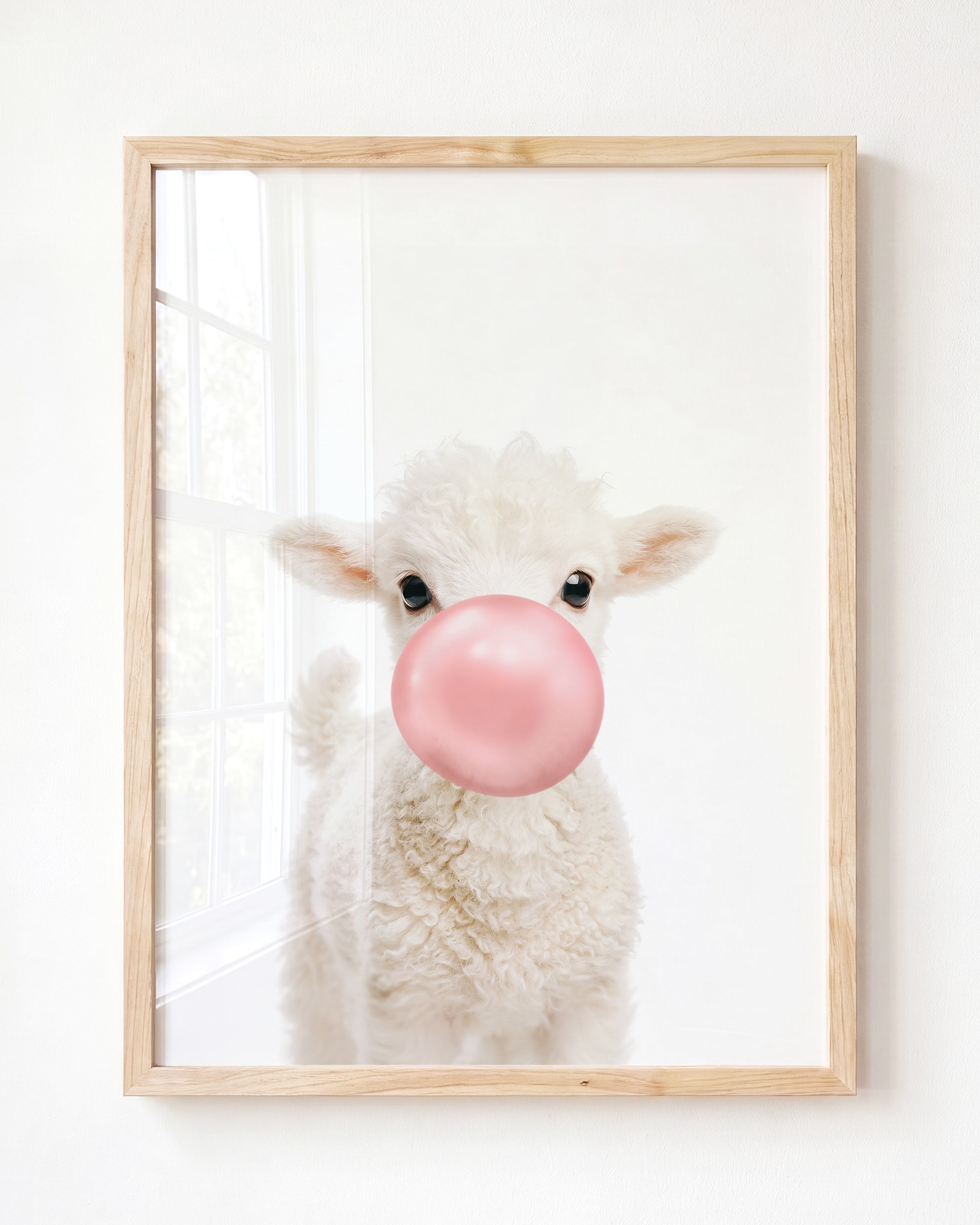 Baby Lamb