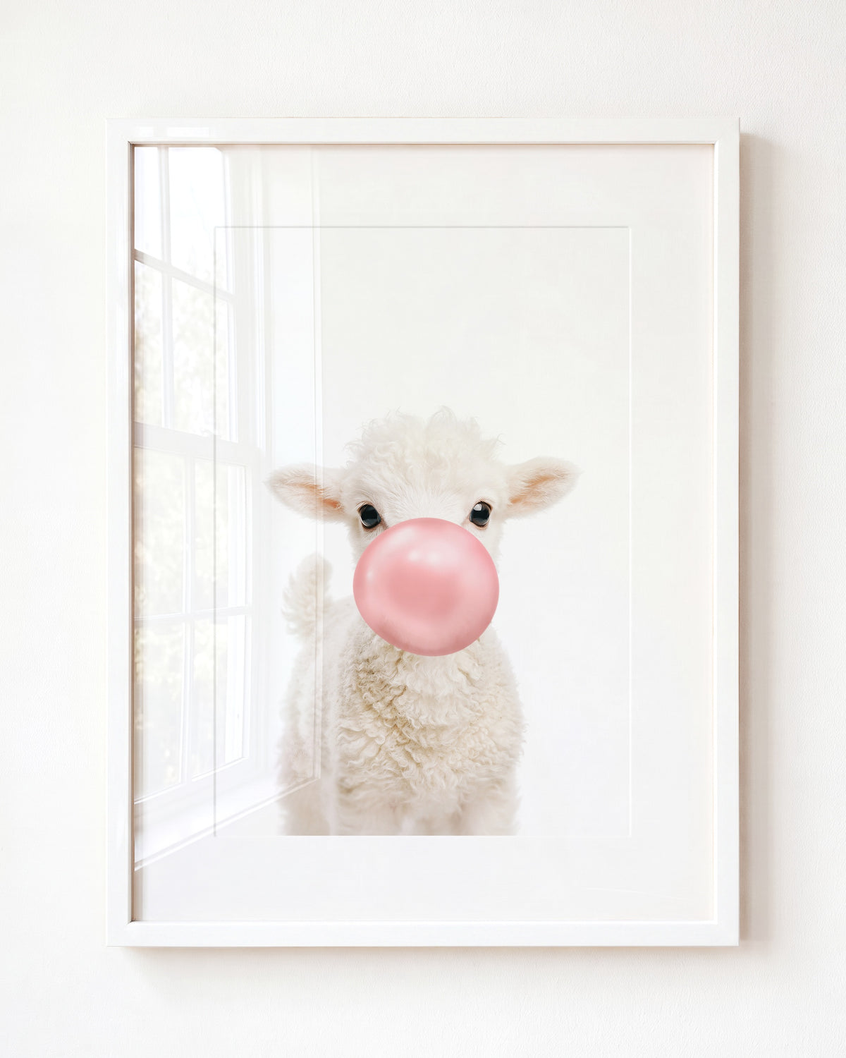 Baby Lamb