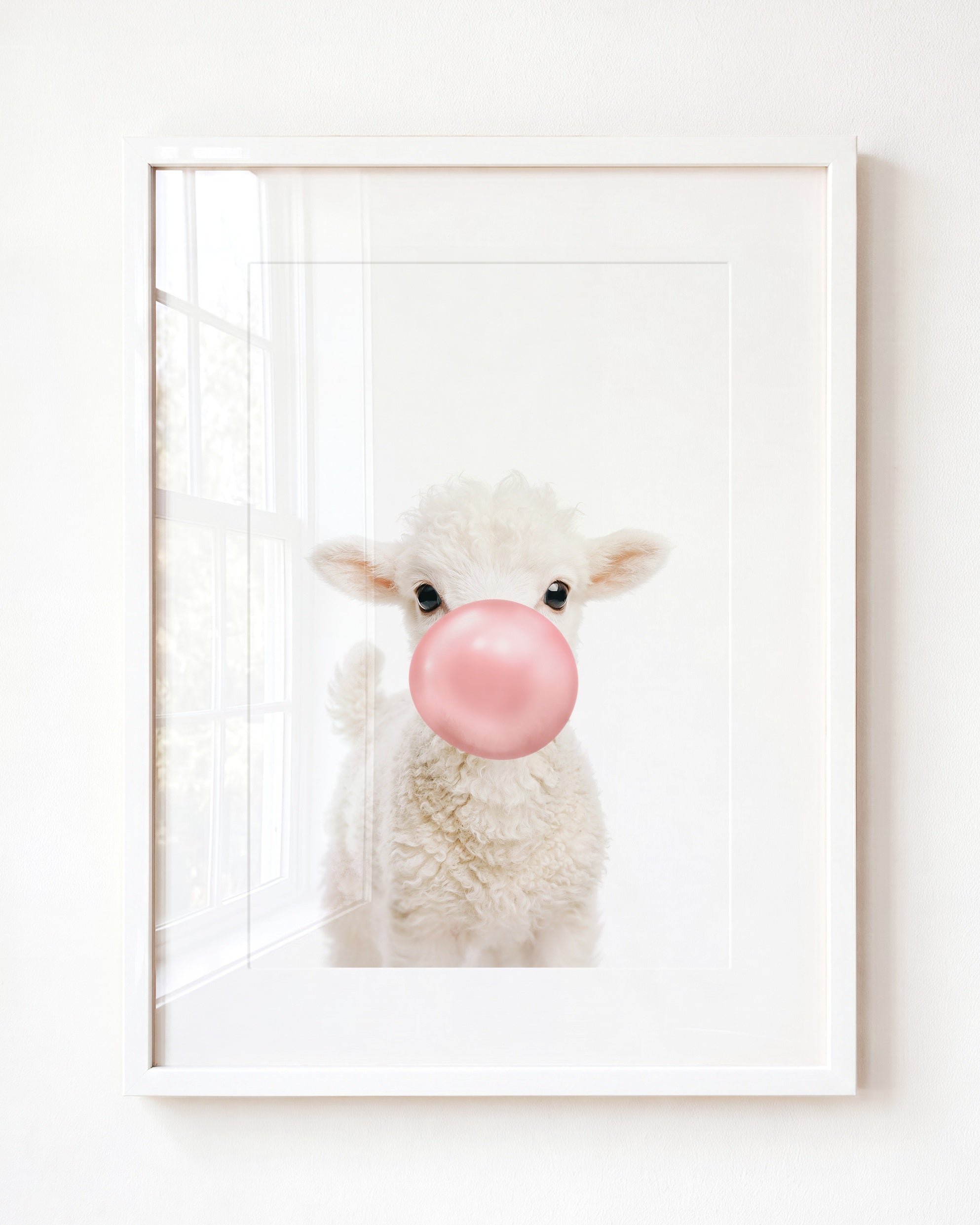 Baby Lamb