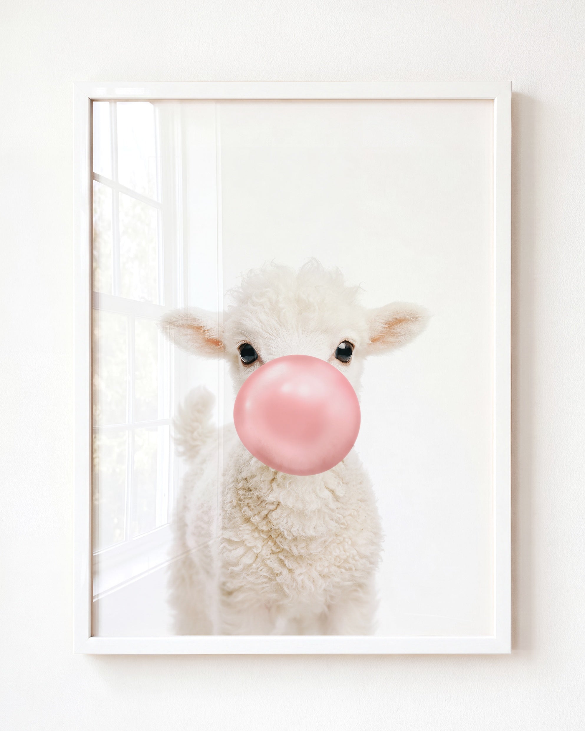 Baby Lamb