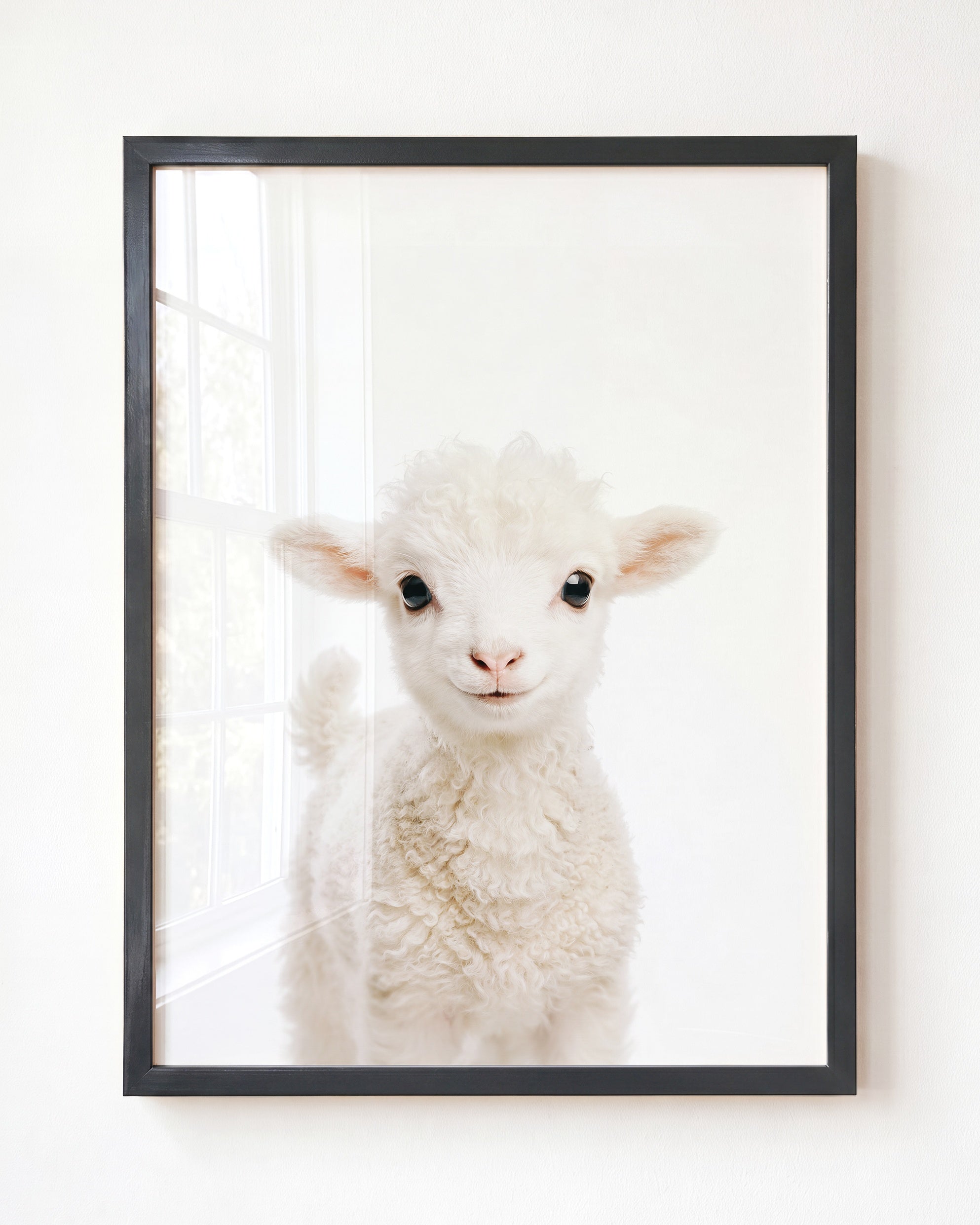 Baby Lamb