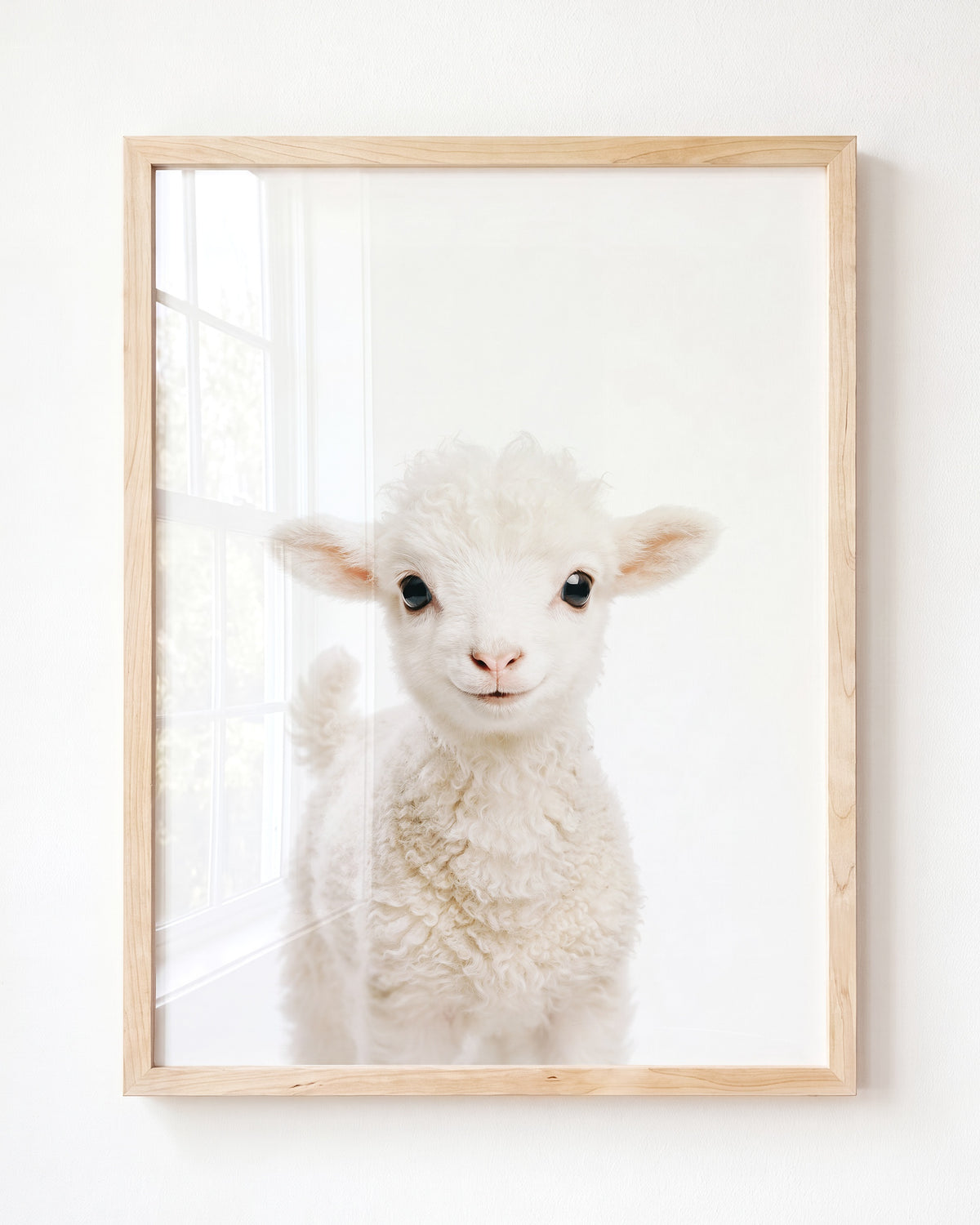 Baby Lamb - Framed Art