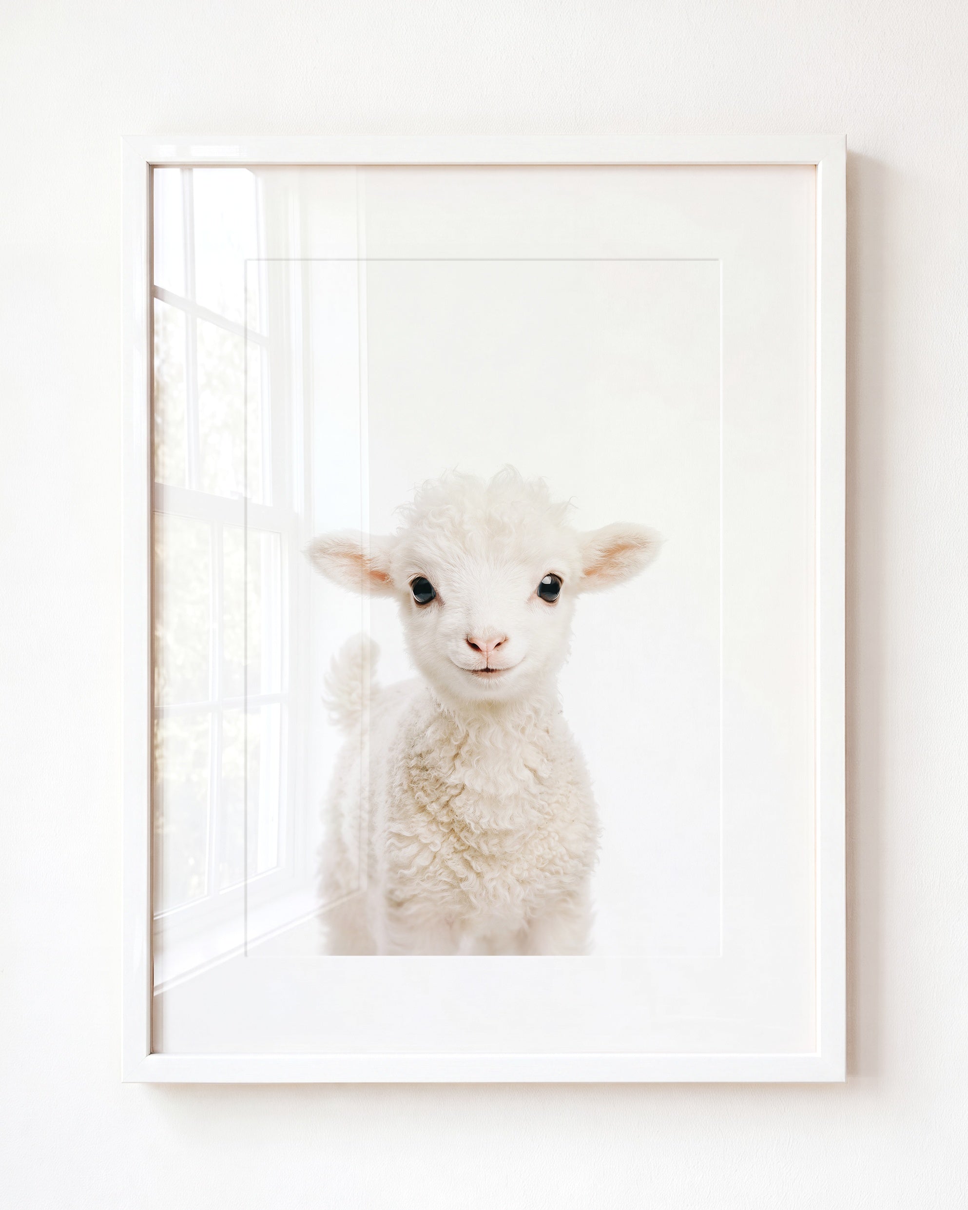 Baby Lamb