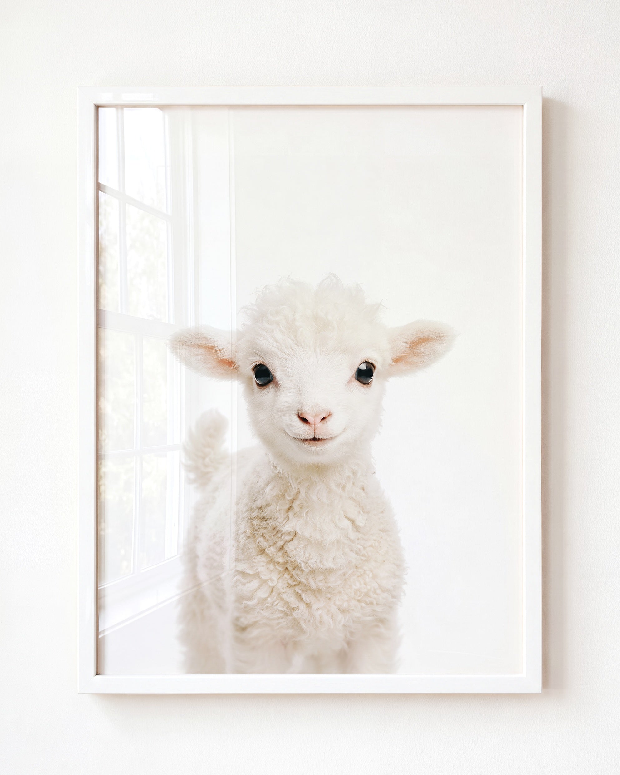 Baby Lamb