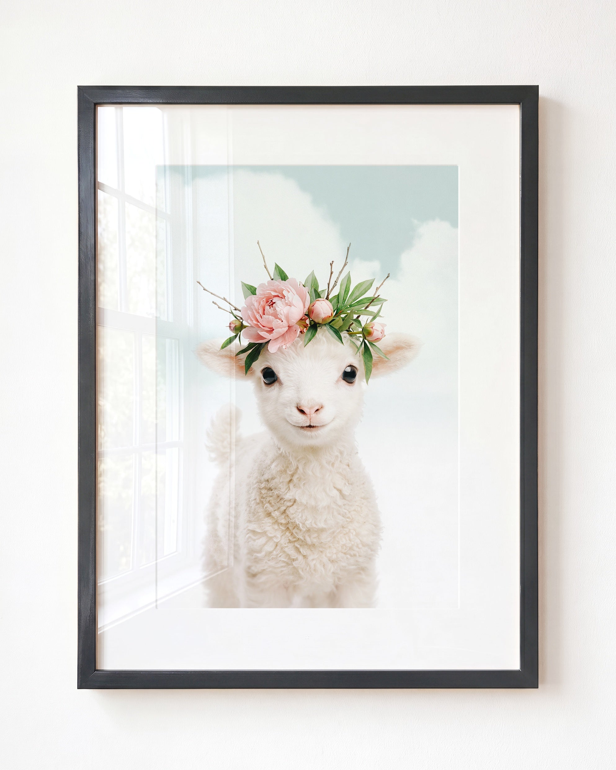 Baby Lamb