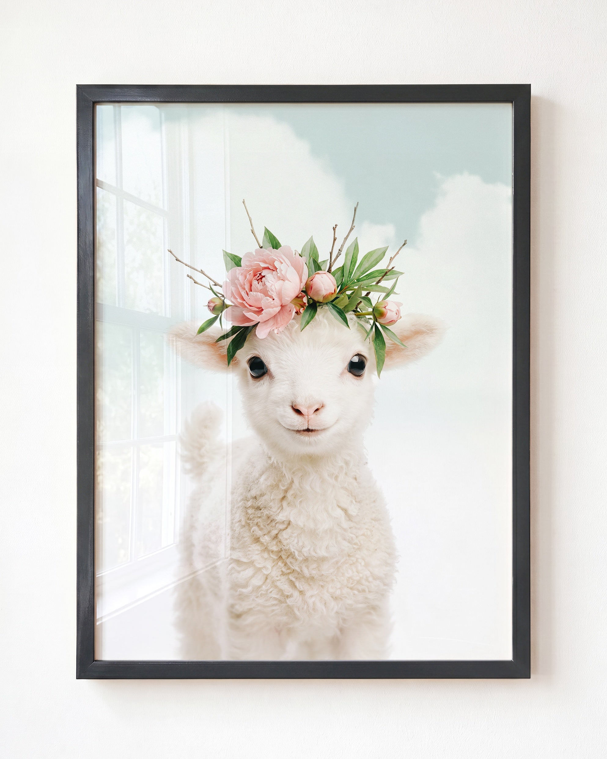 Baby Lamb