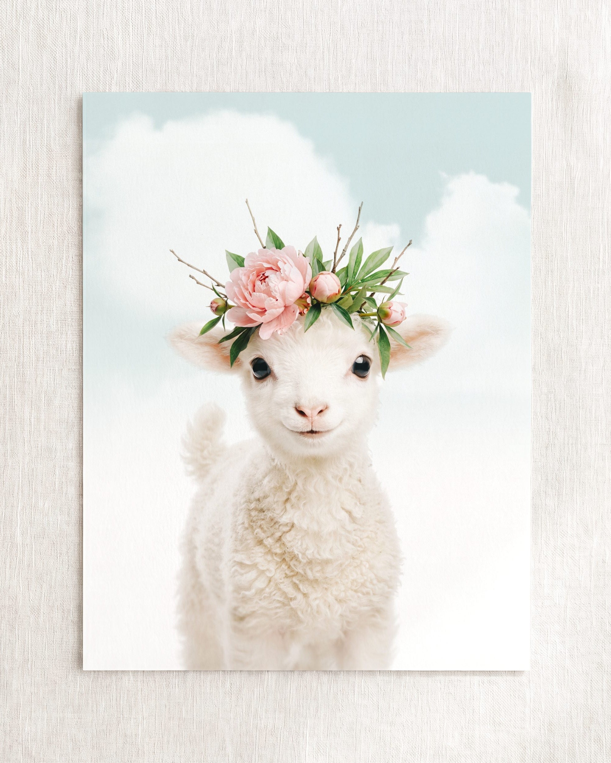 Baby Lamb