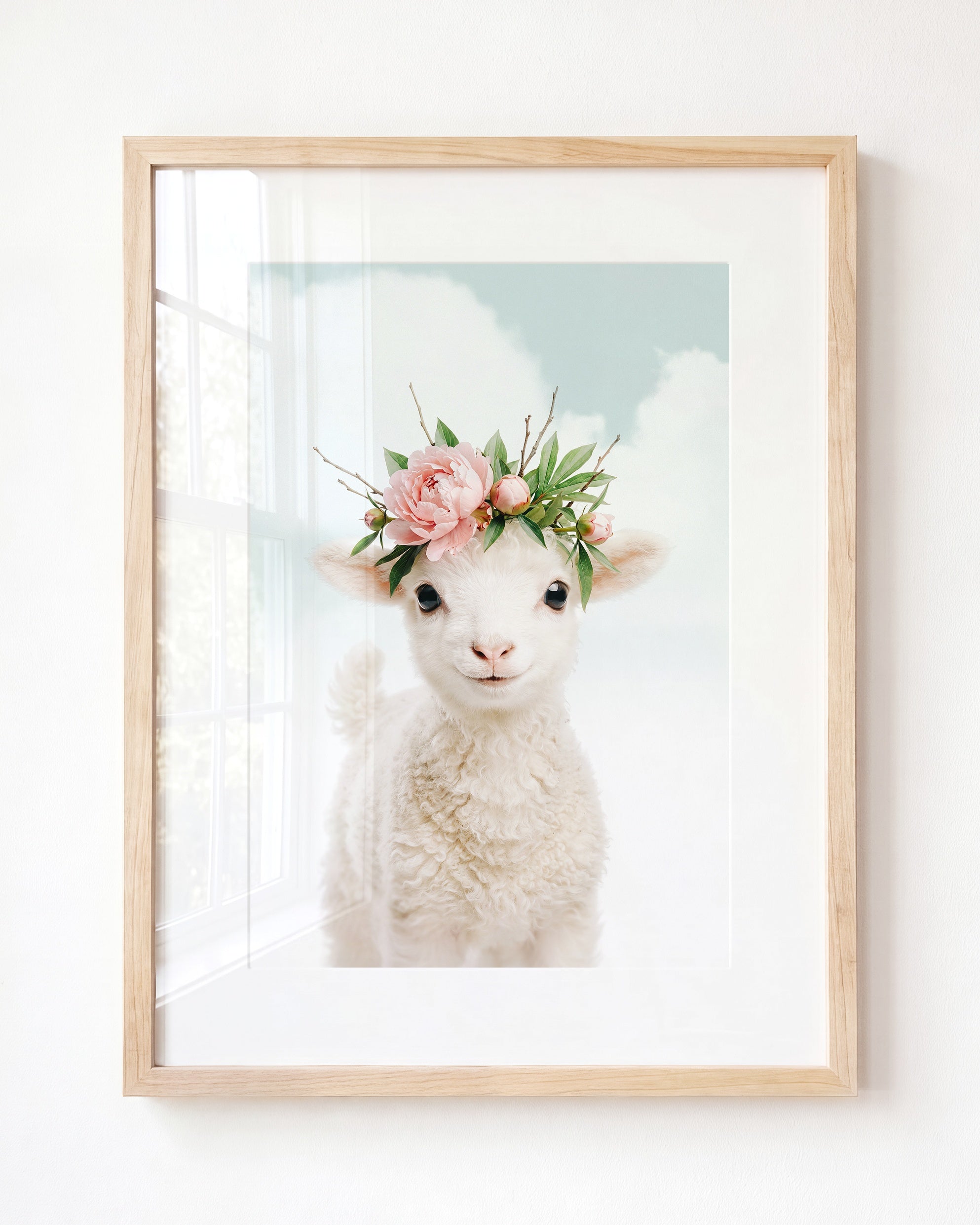 Baby Lamb