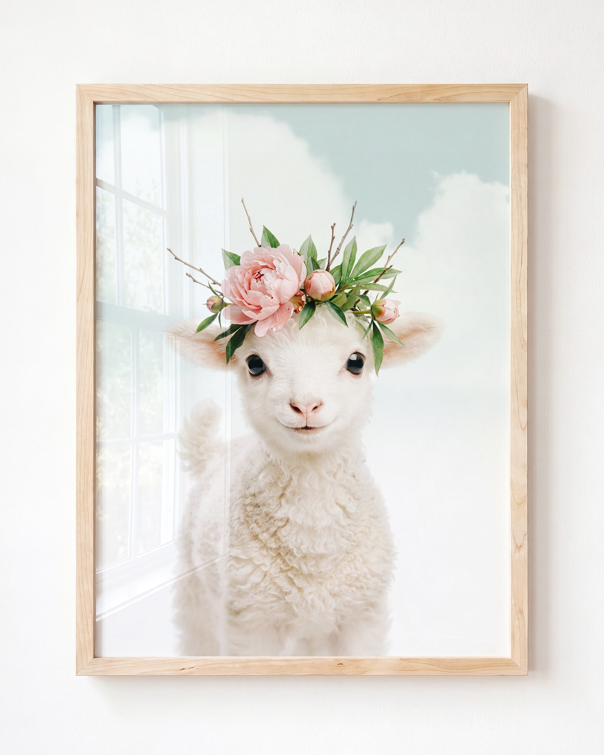Baby Lamb