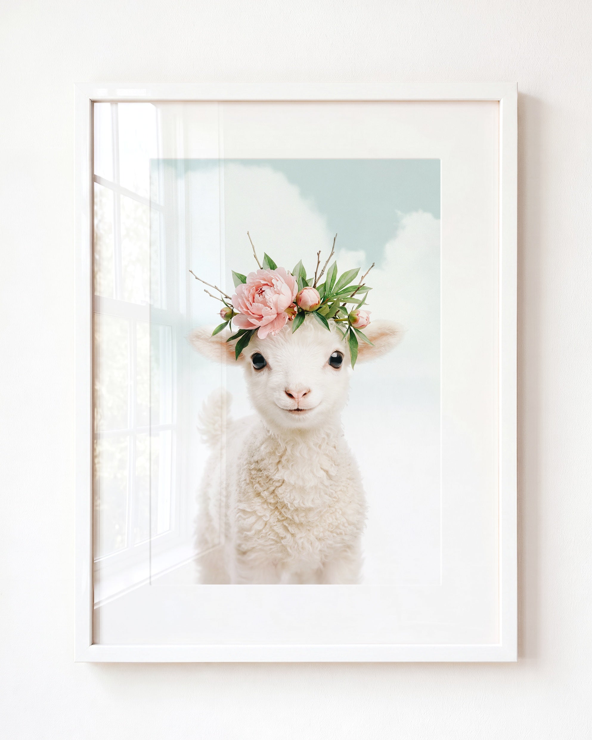 Baby Lamb