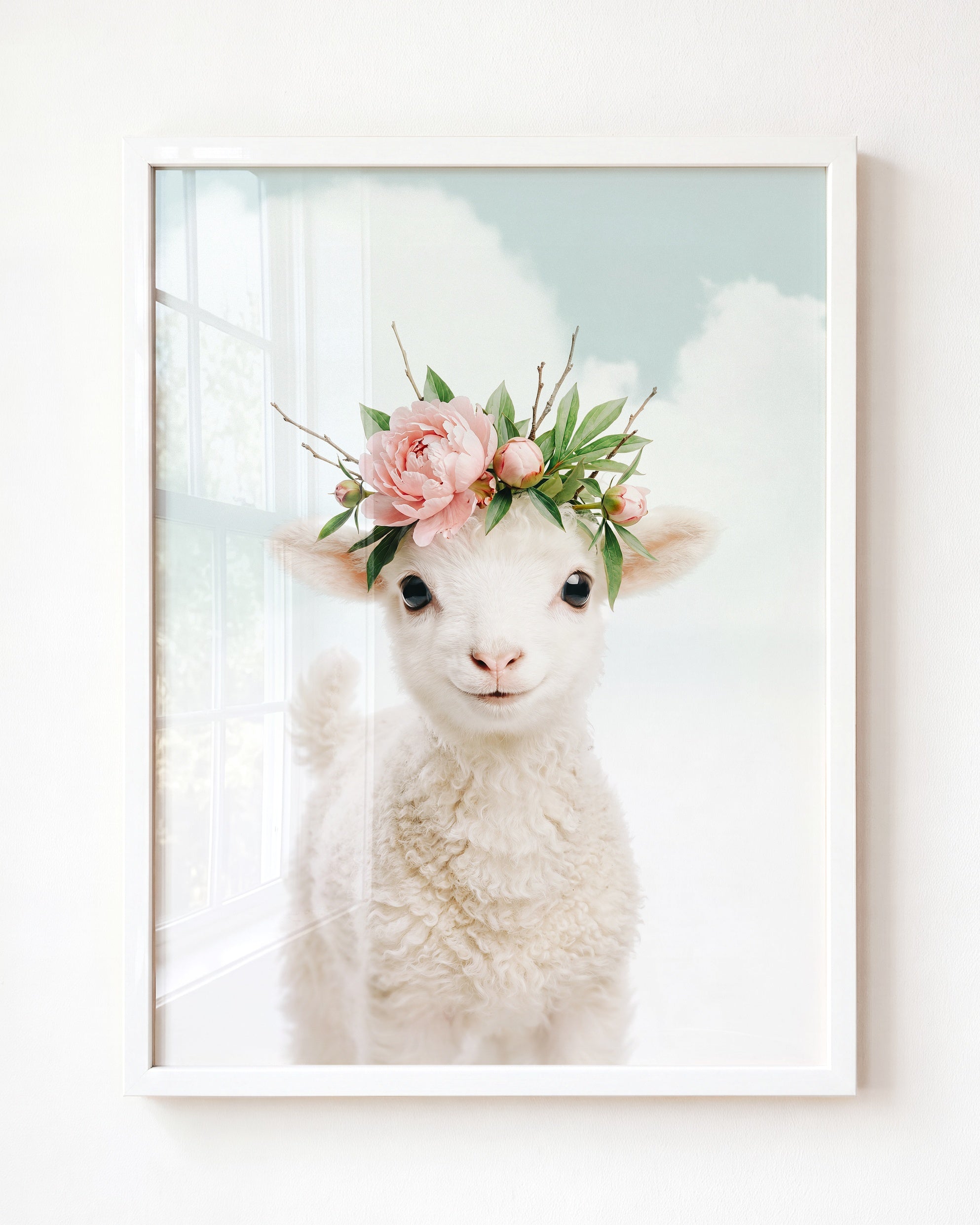 Baby Lamb