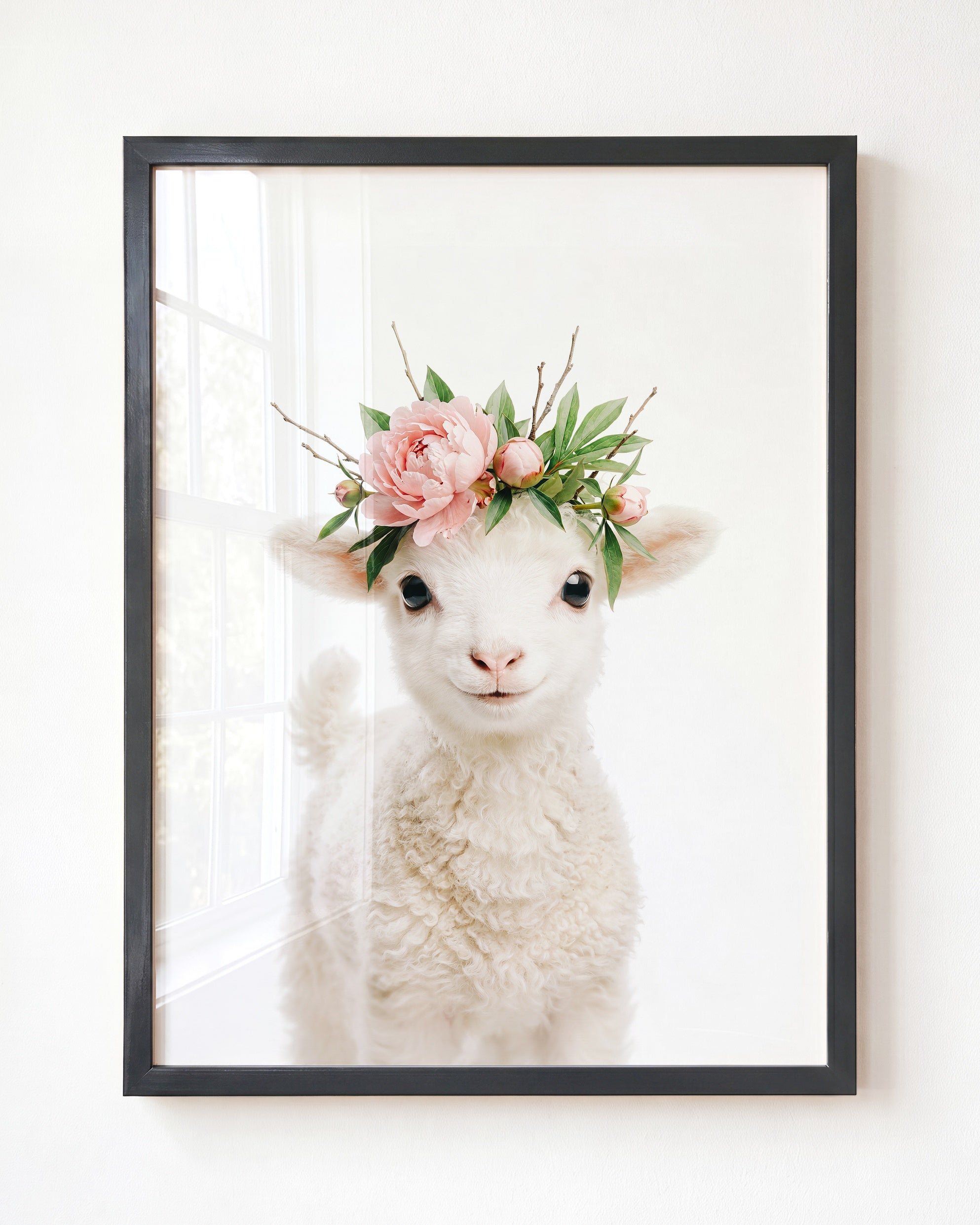 Baby Lamb