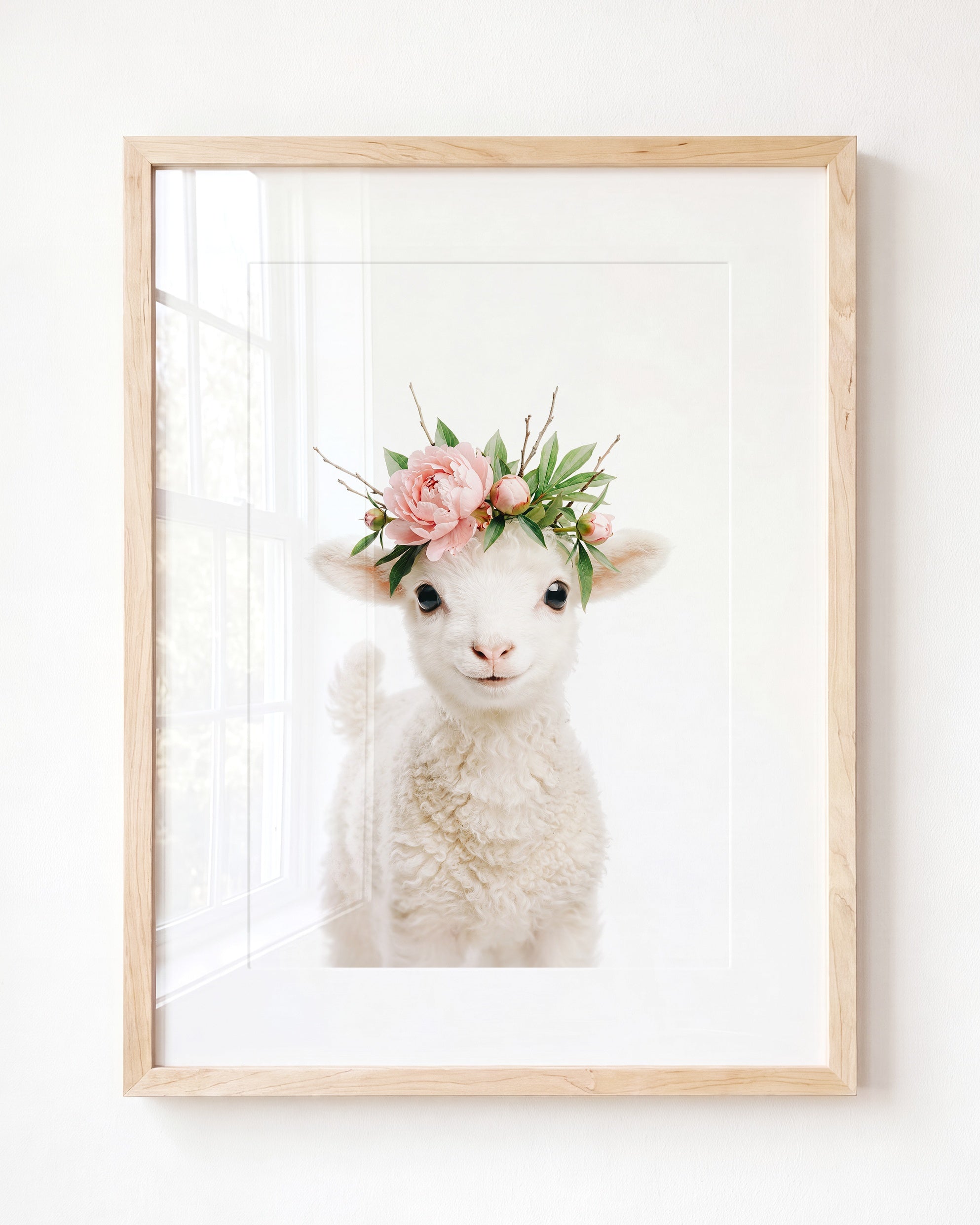 Baby Lamb