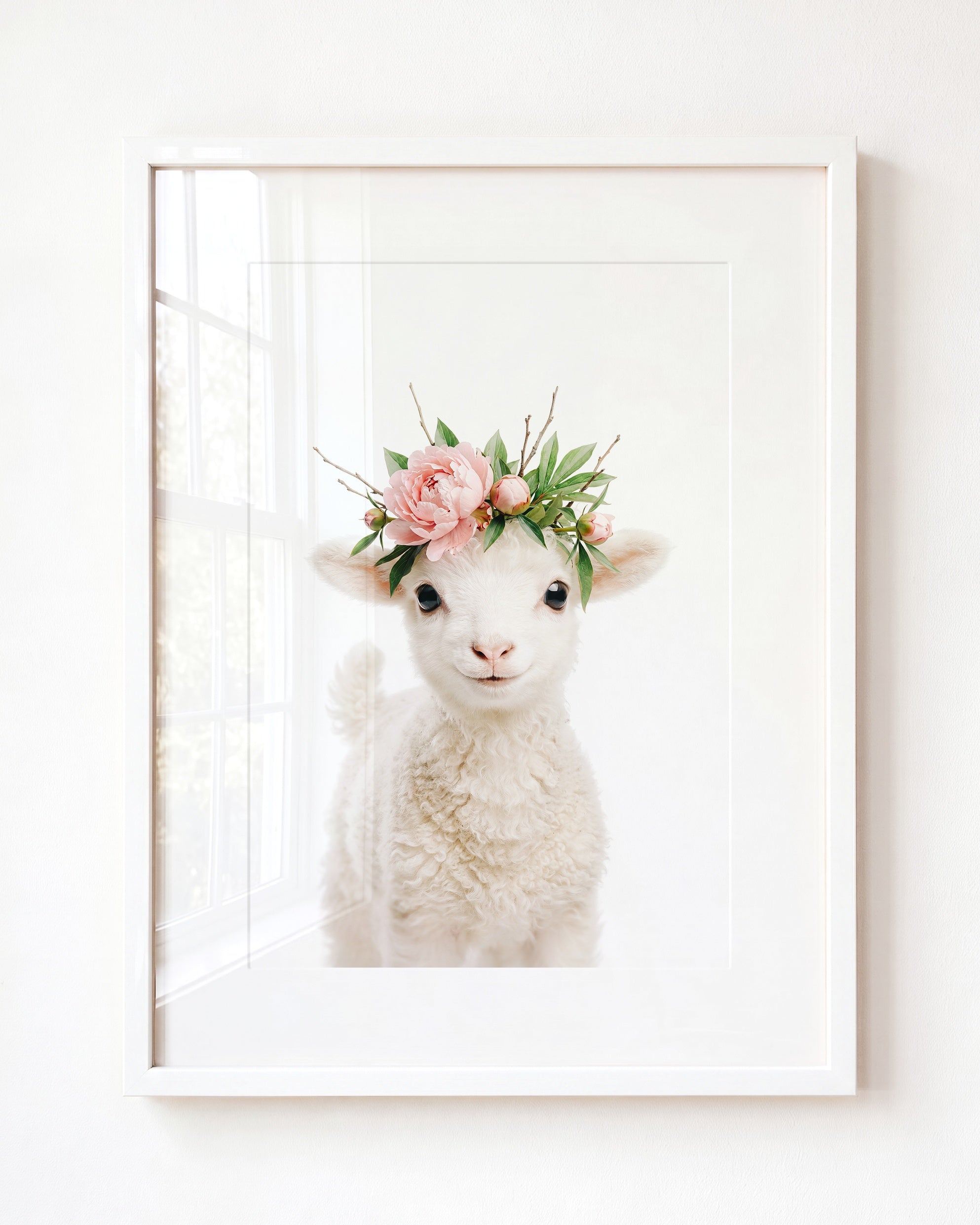 Baby Lamb