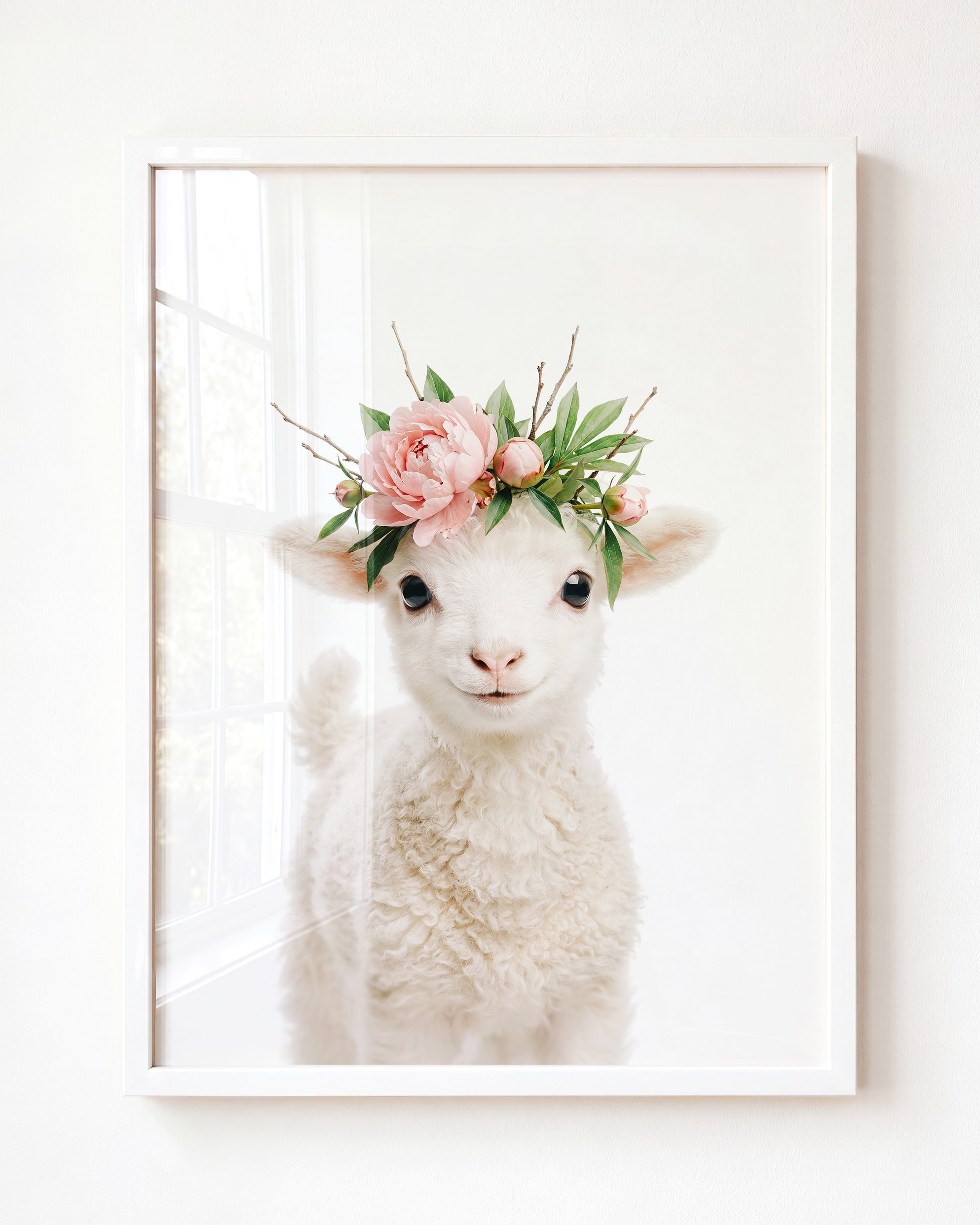 Baby Lamb