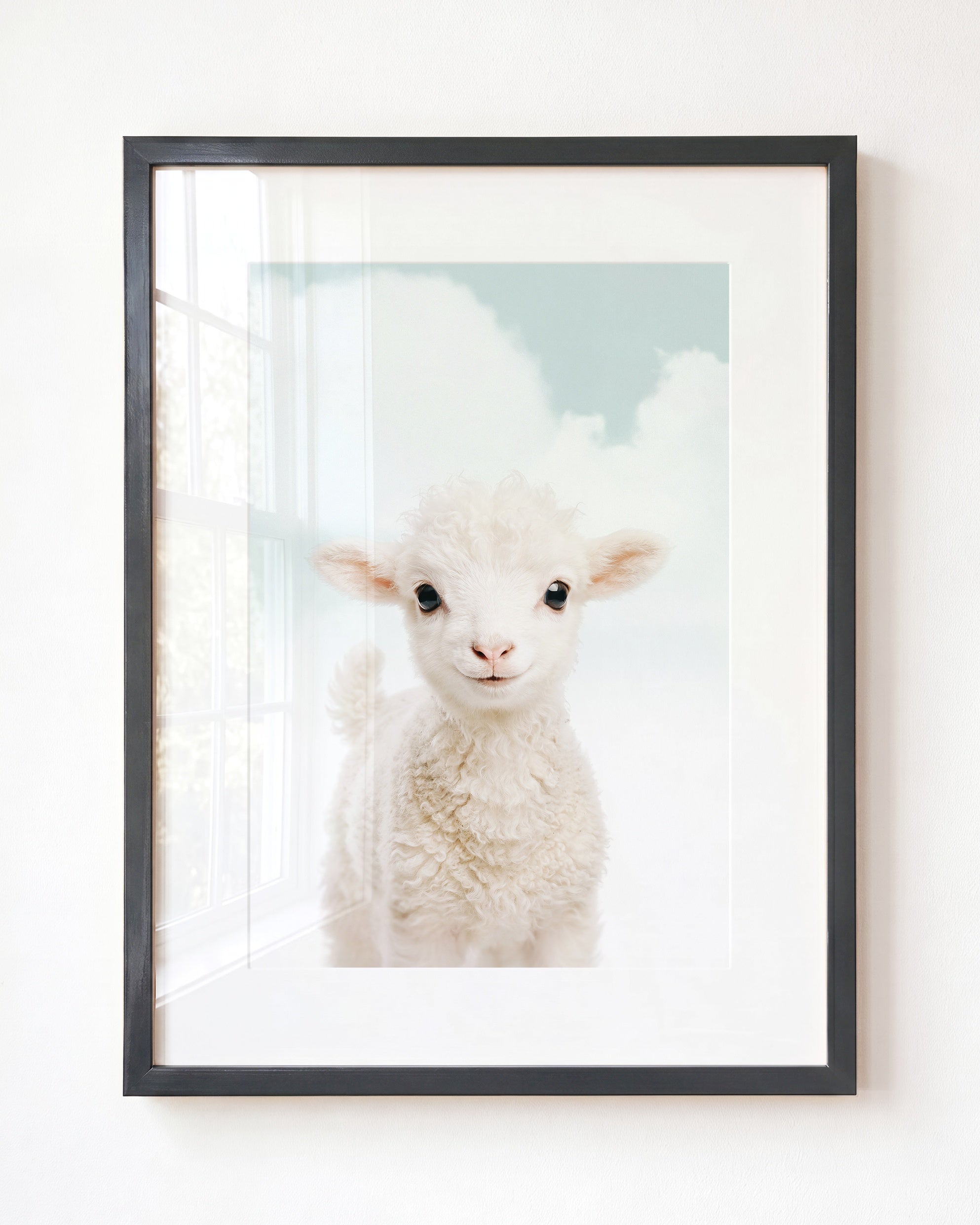 Baby Lamb