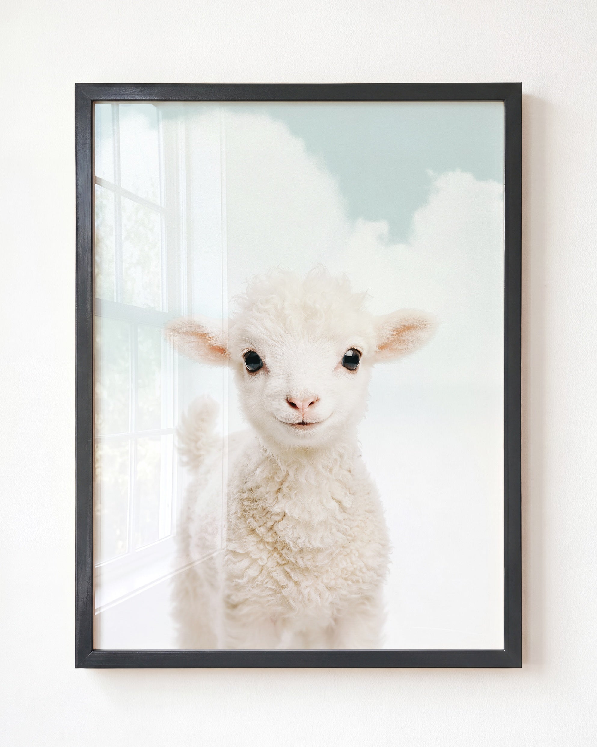 Baby Lamb