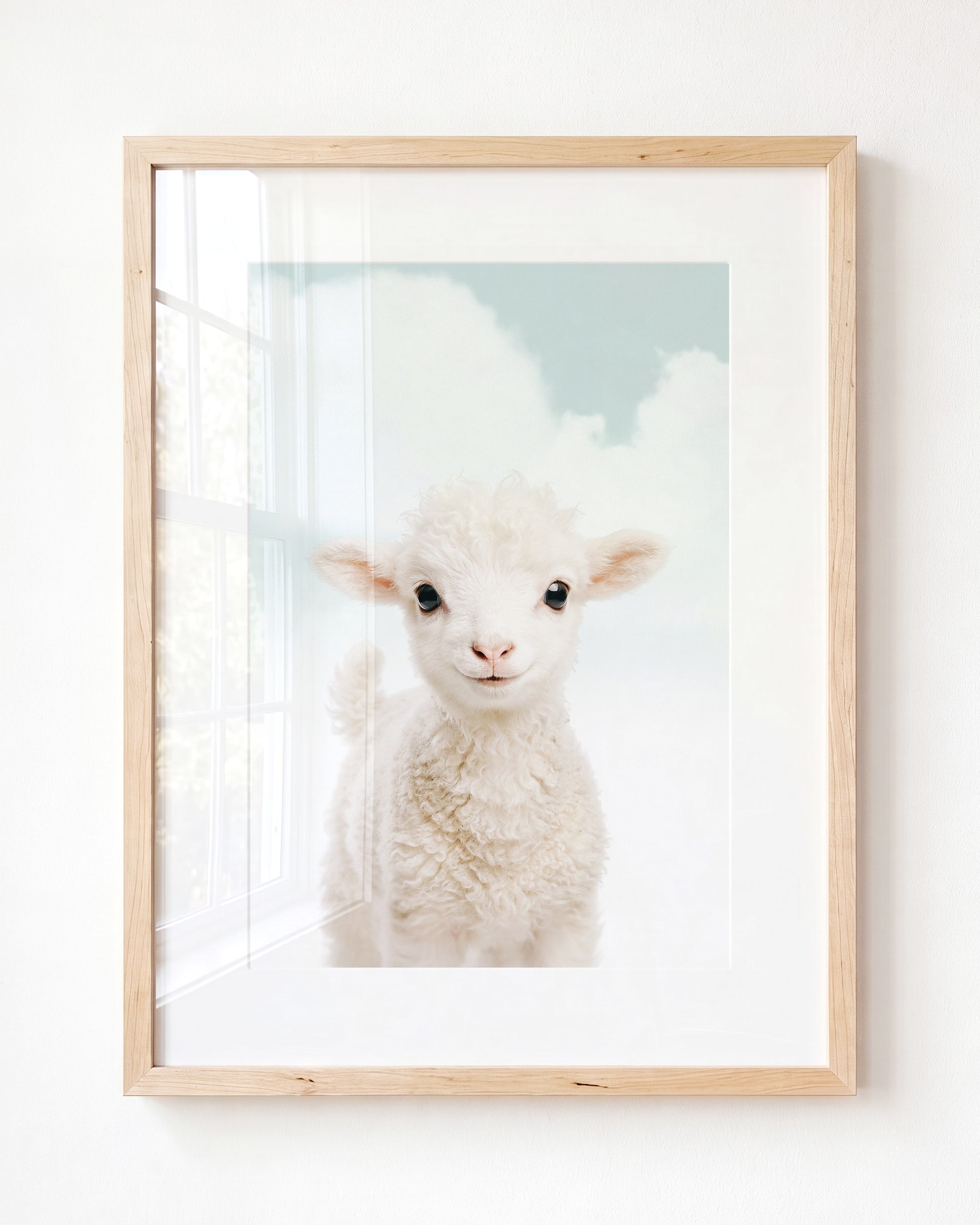 Baby Lamb