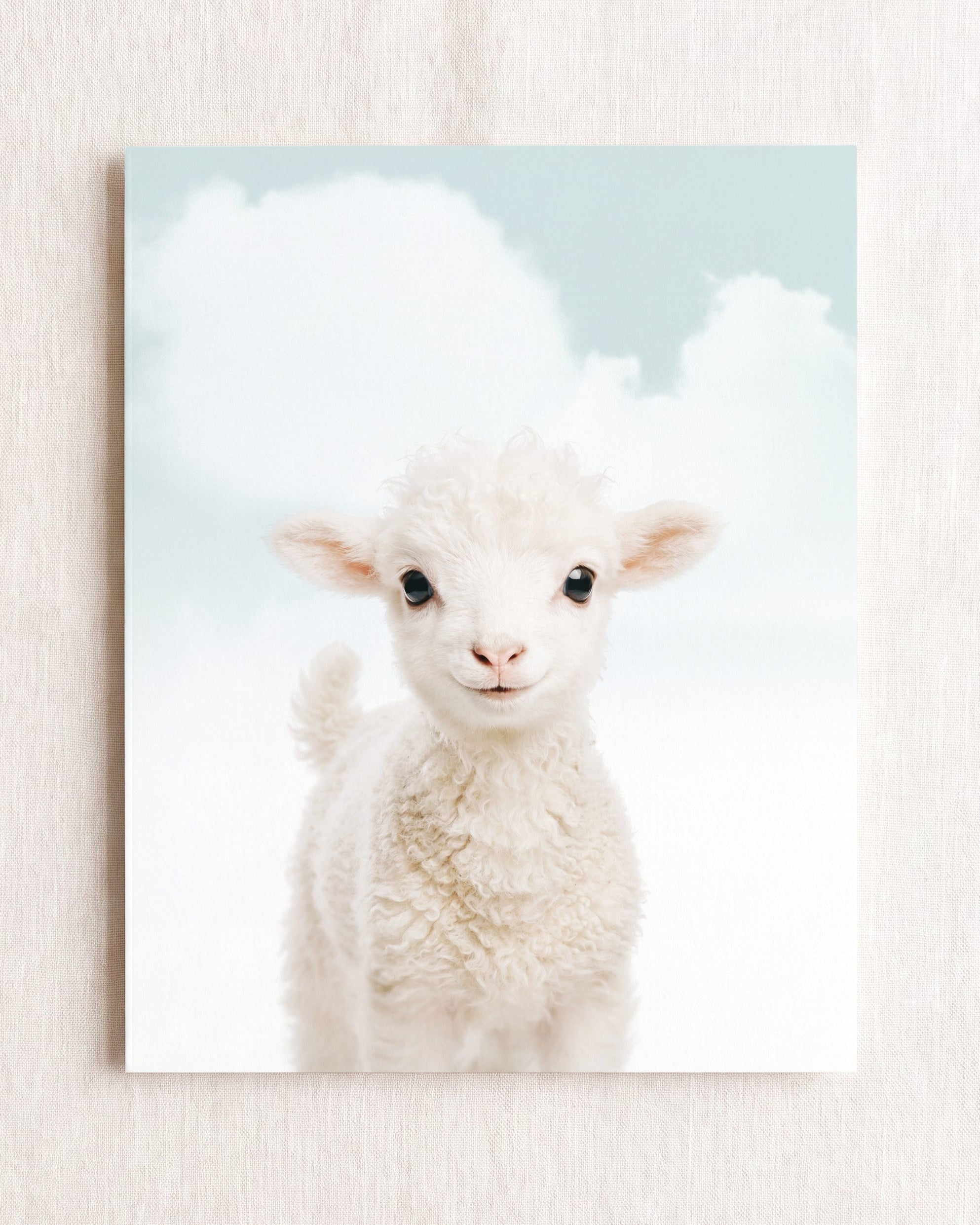 Baby Lamb