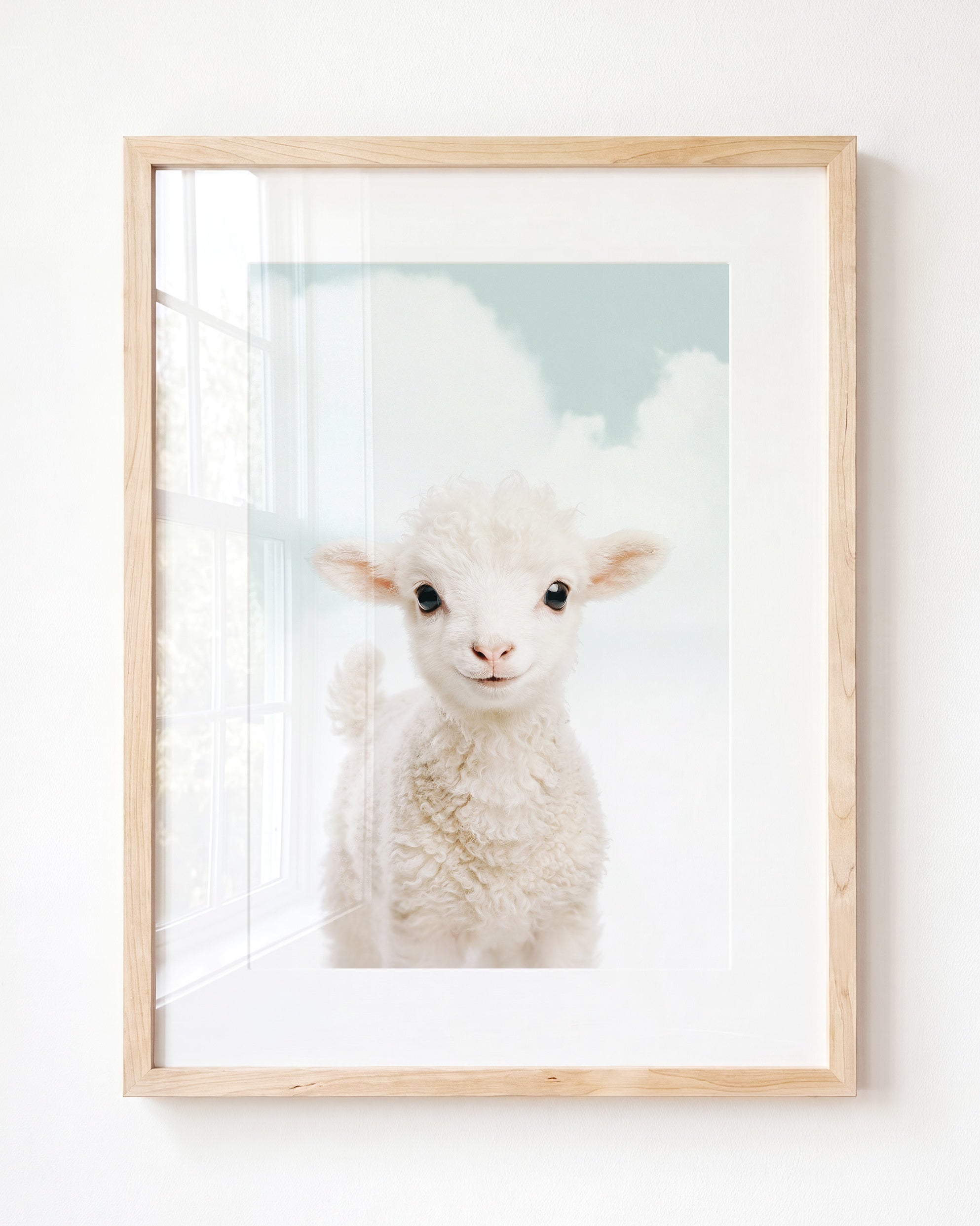 Baby Lamb