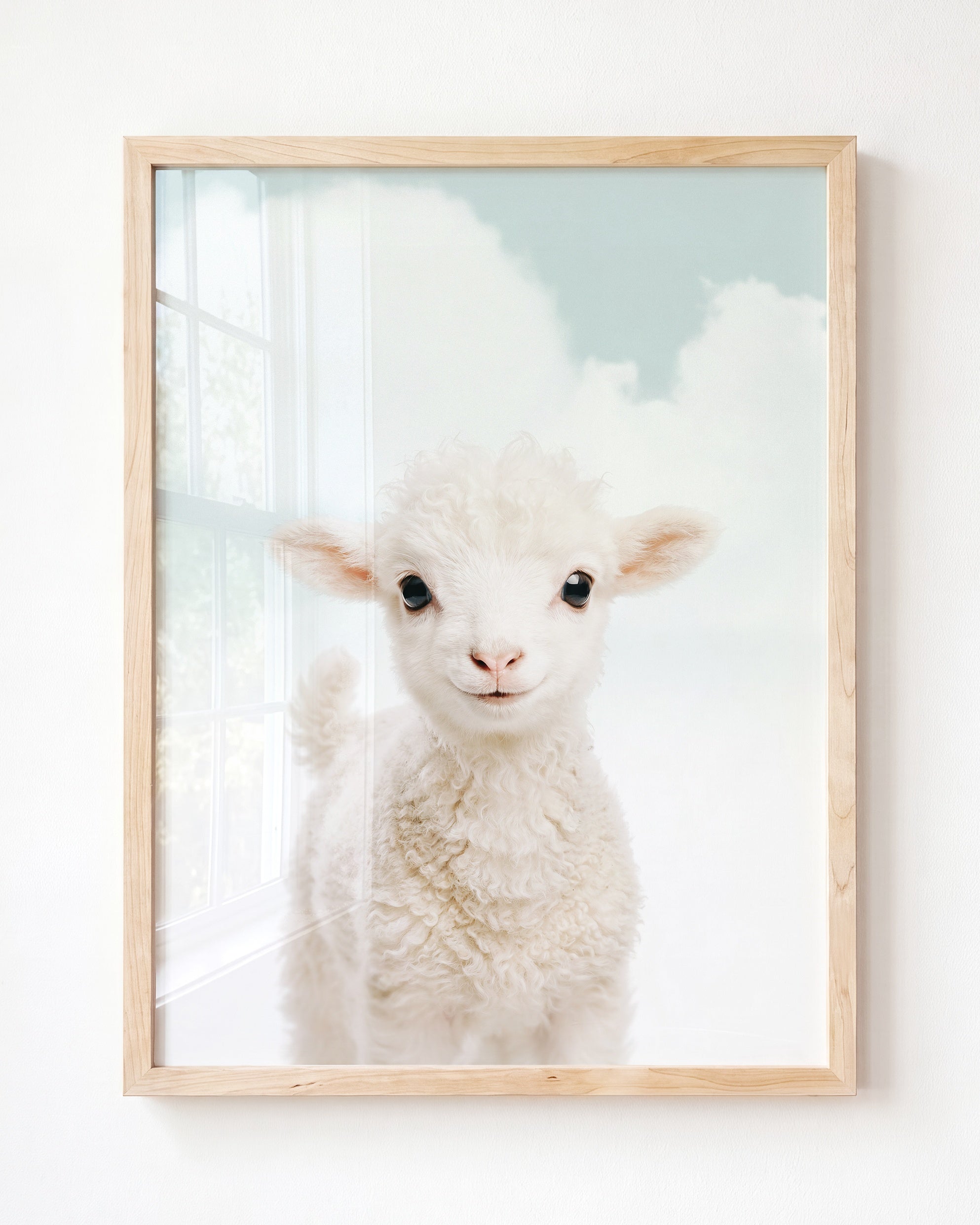 Baby Lamb