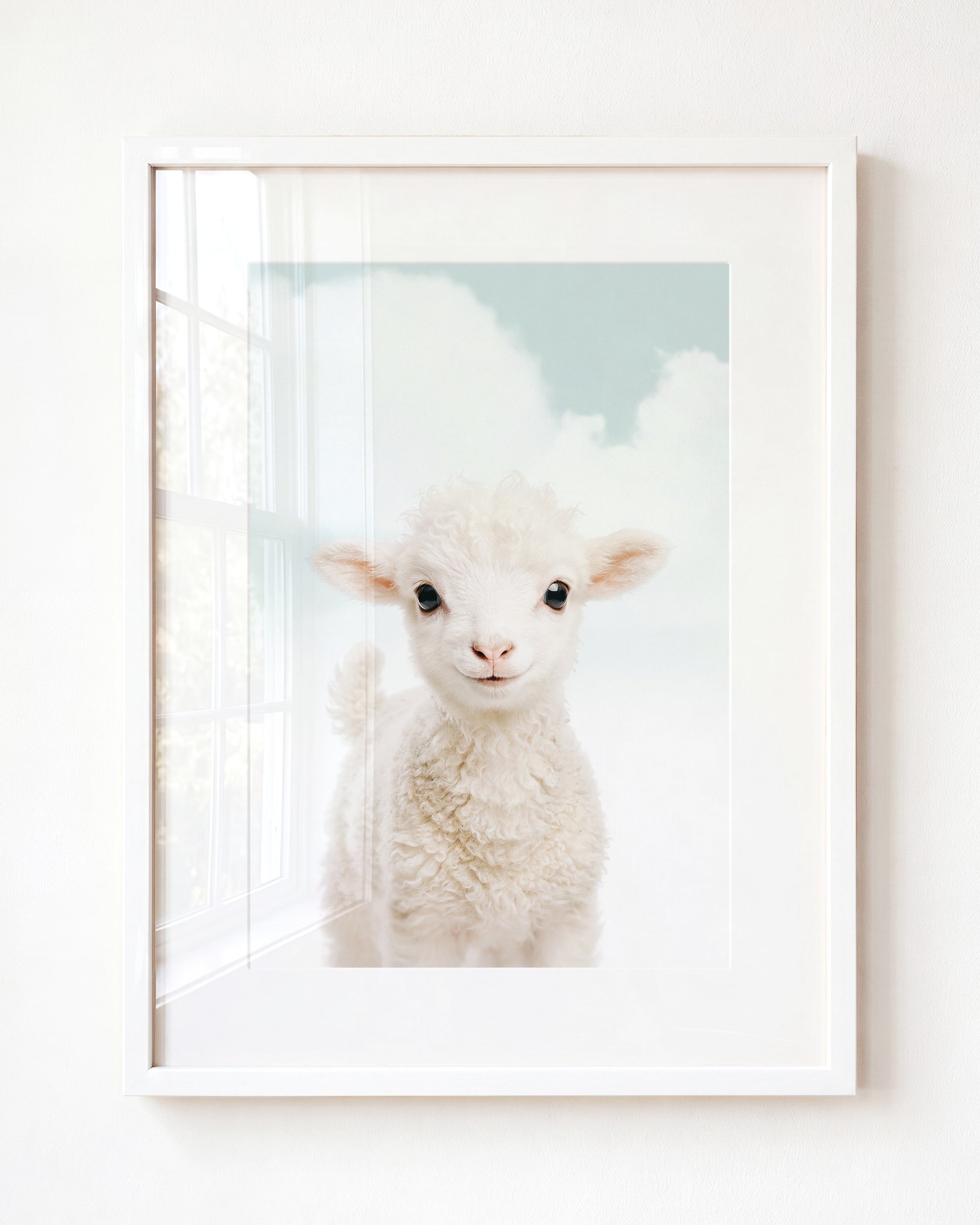 Baby Lamb