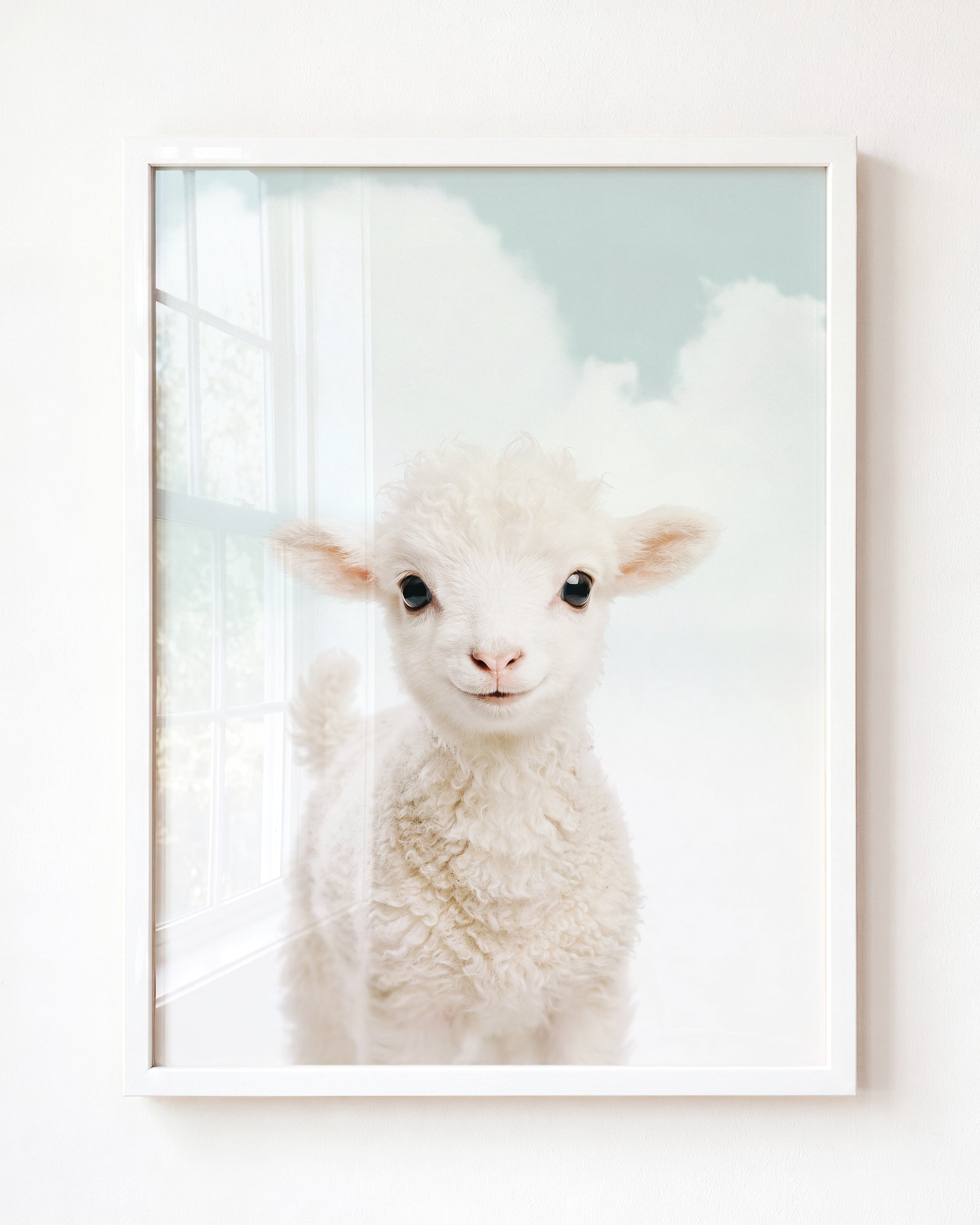 Baby Lamb