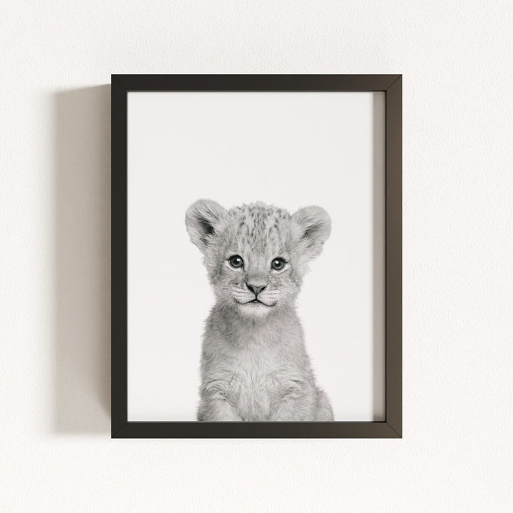 Baby Lion