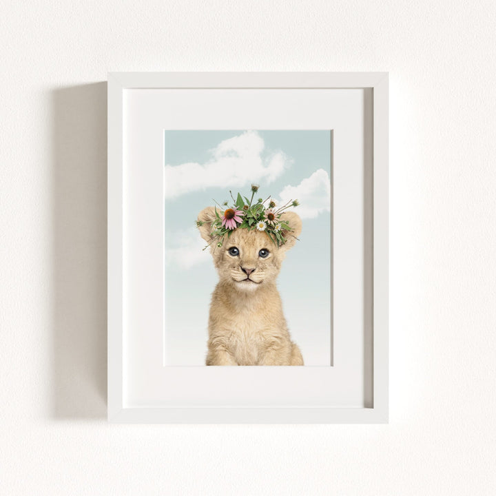 Baby Lion