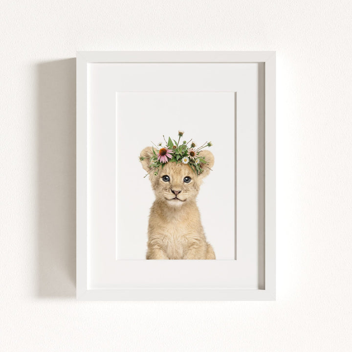 Baby Lion