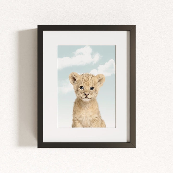 Baby Lion