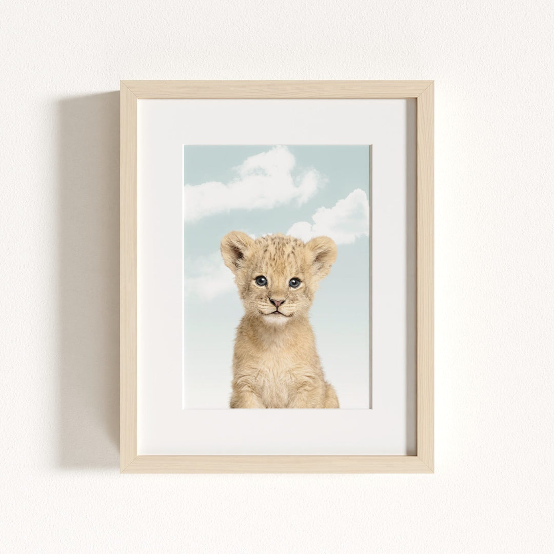 Baby Lion