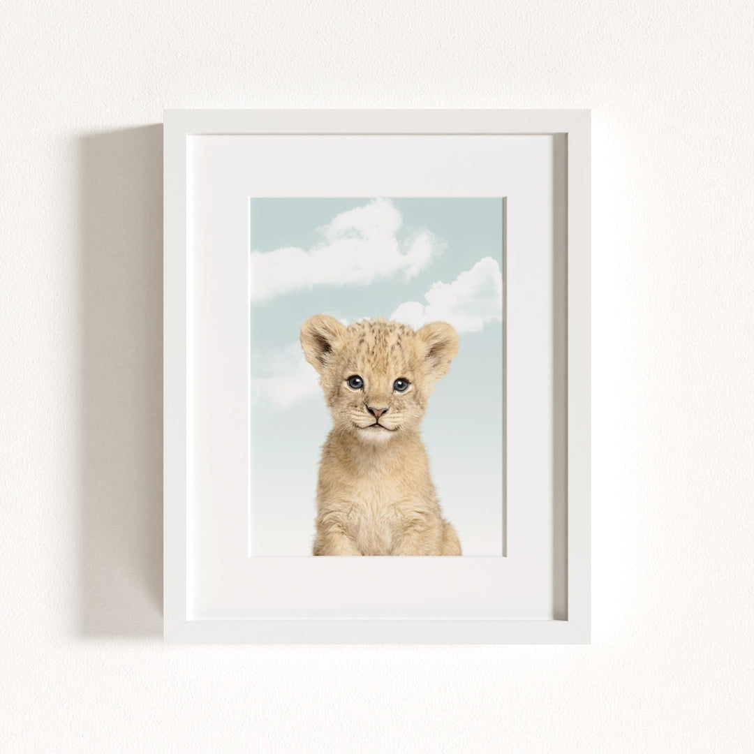 Baby Lion