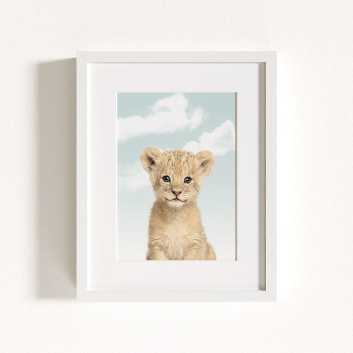 Baby Lion