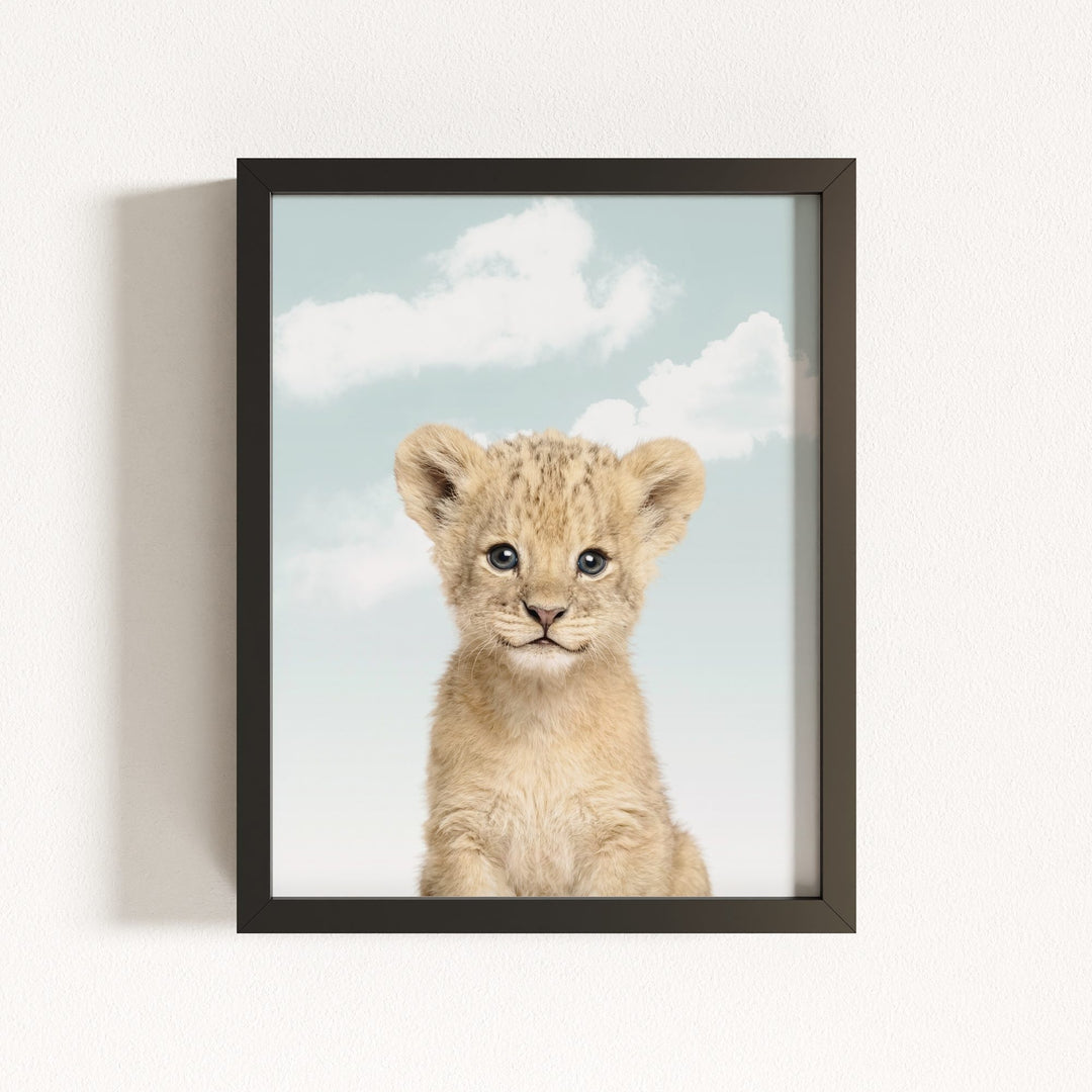 Baby Lion