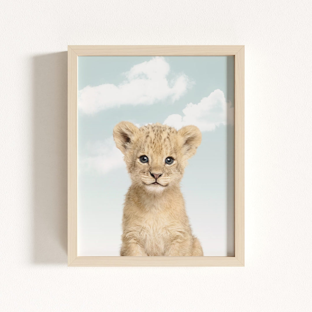 Baby Lion