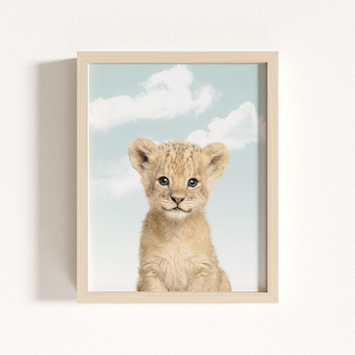 Baby Lion