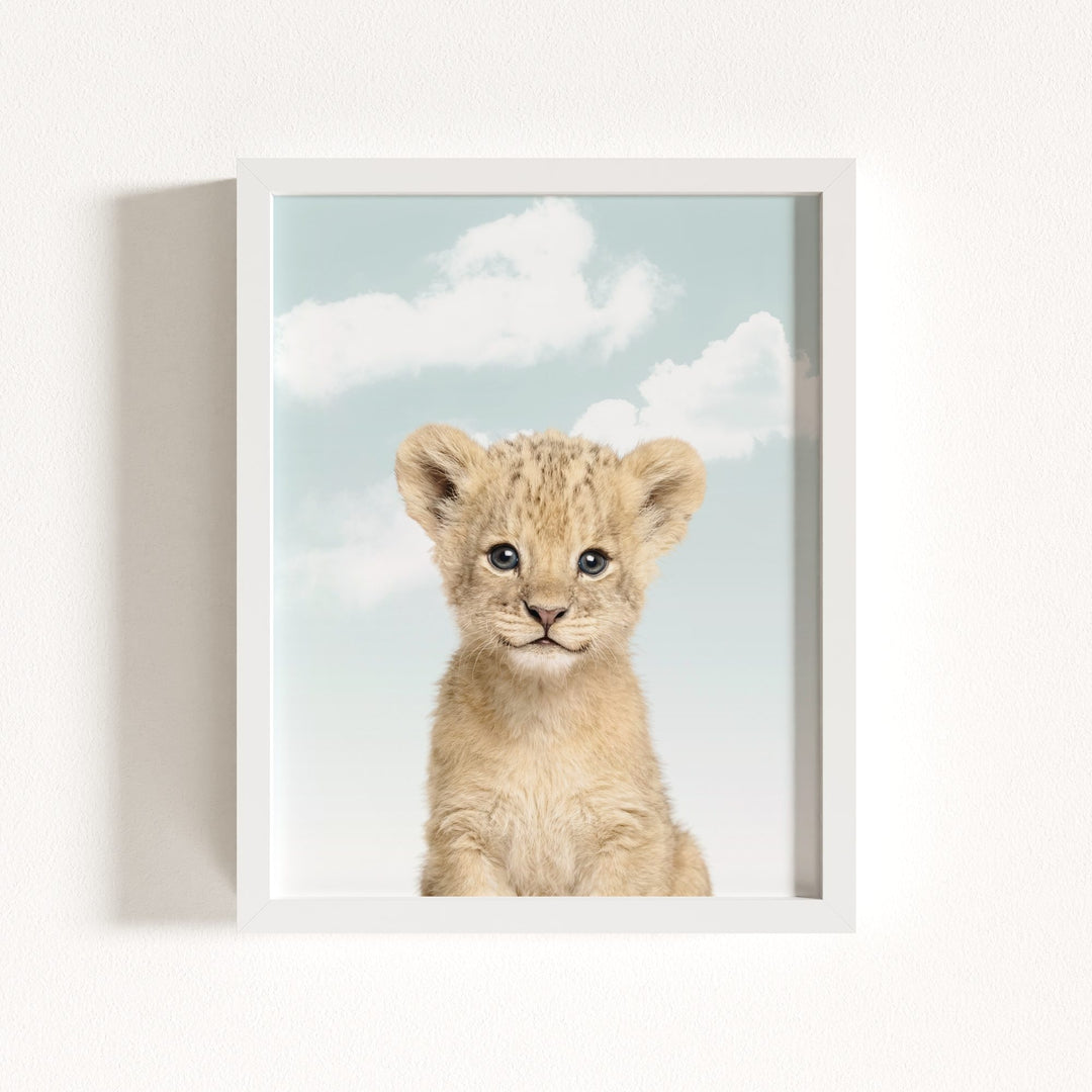 Baby Lion