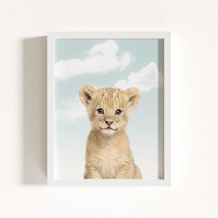 Baby Lion