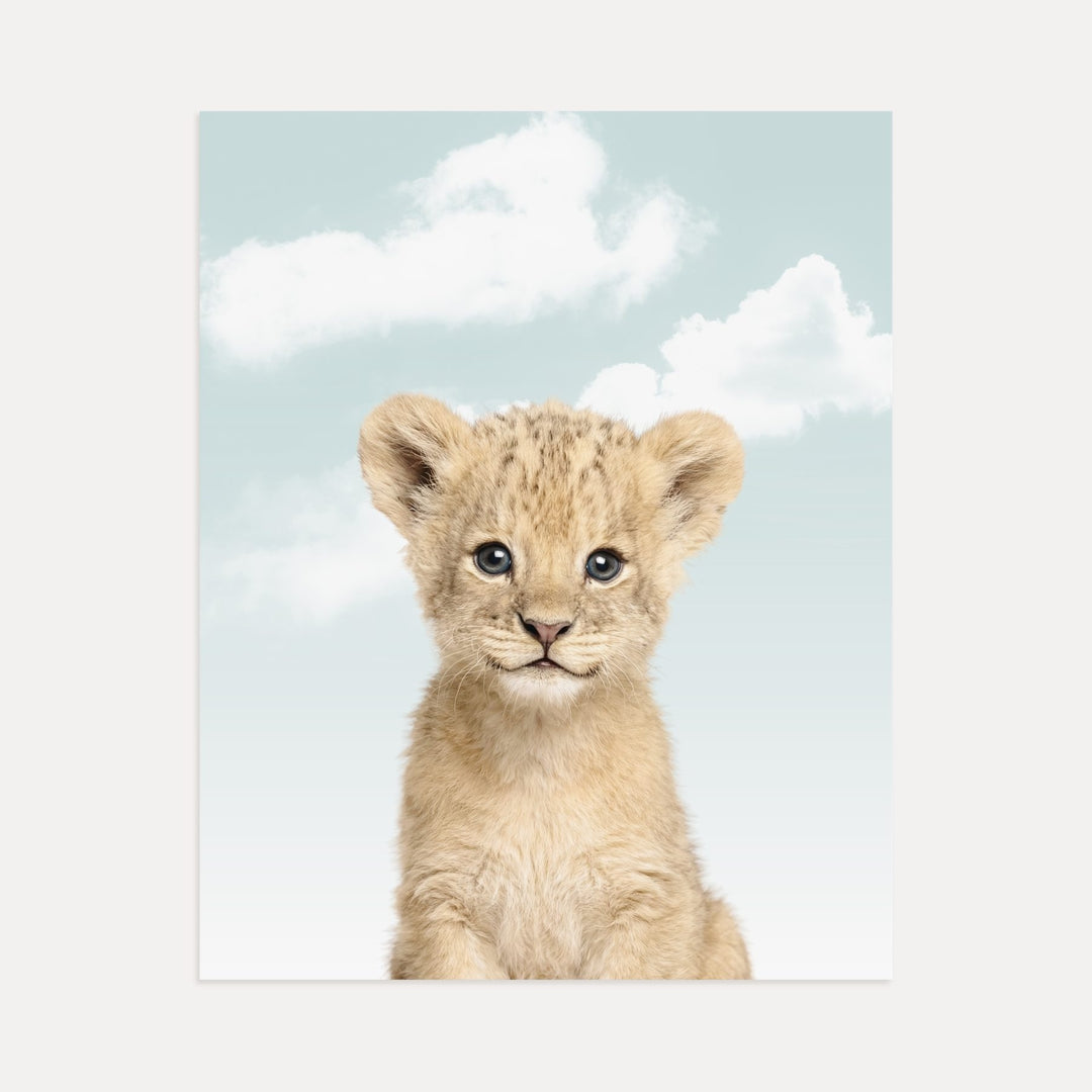 Baby Lion