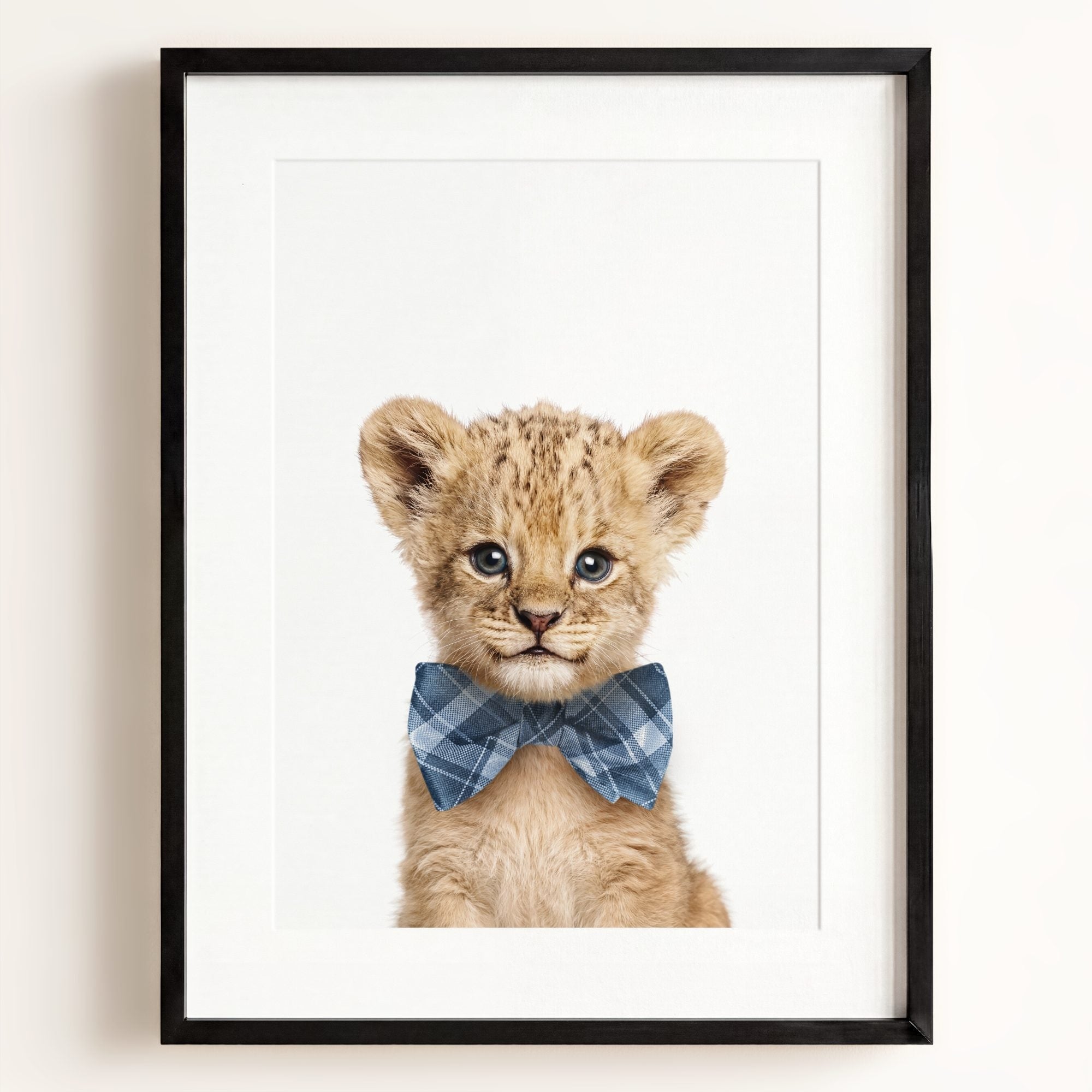 Baby Lion