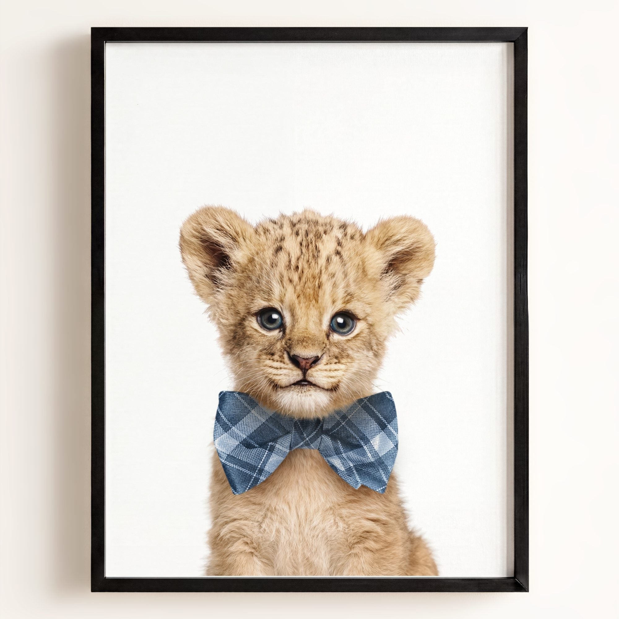 Baby Lion