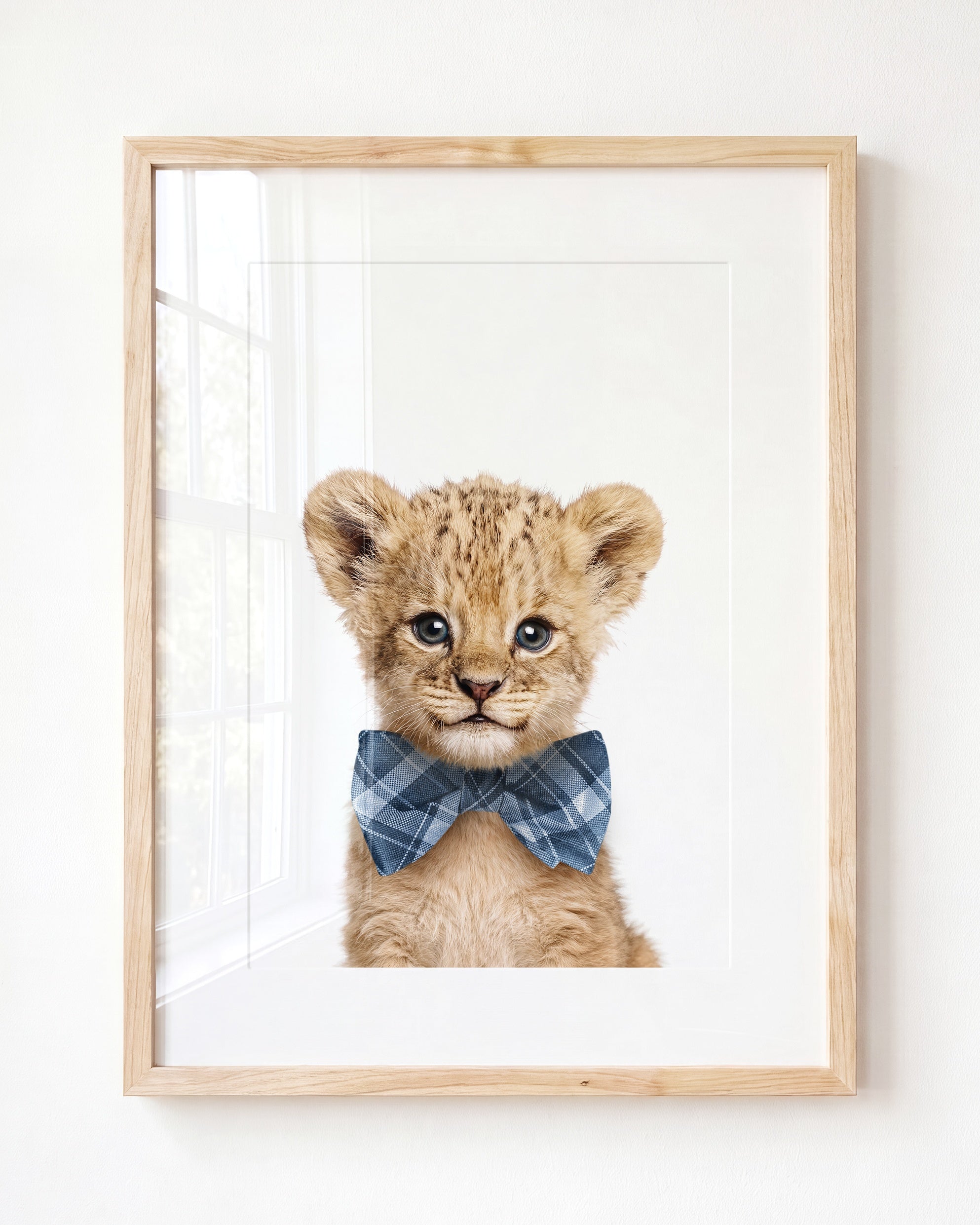 Baby Lion