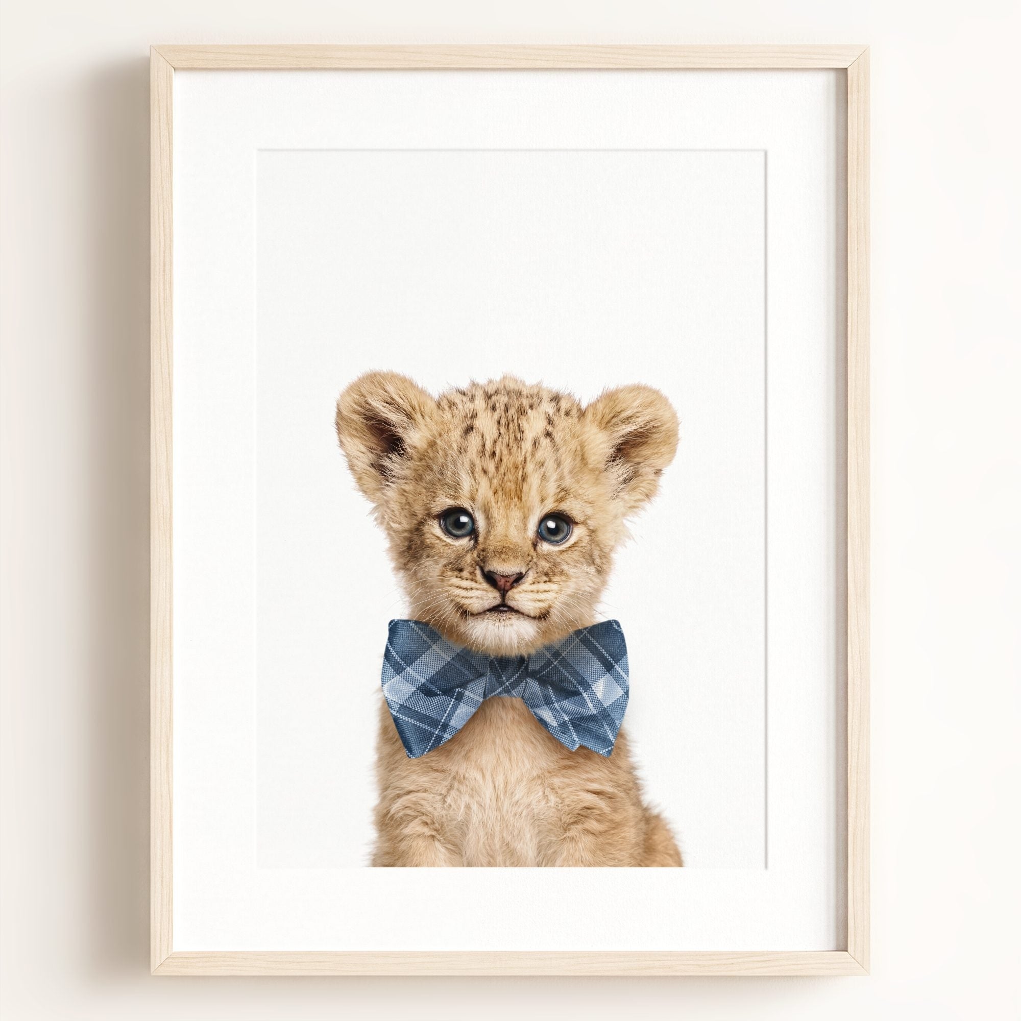 Baby Lion