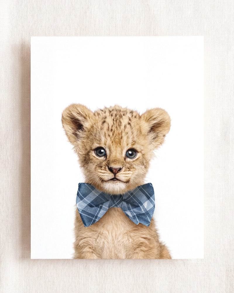 Bow Tie Cornflower