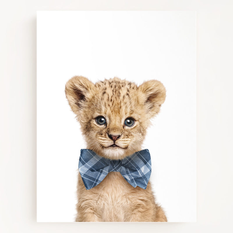 Bow Tie Cornflower