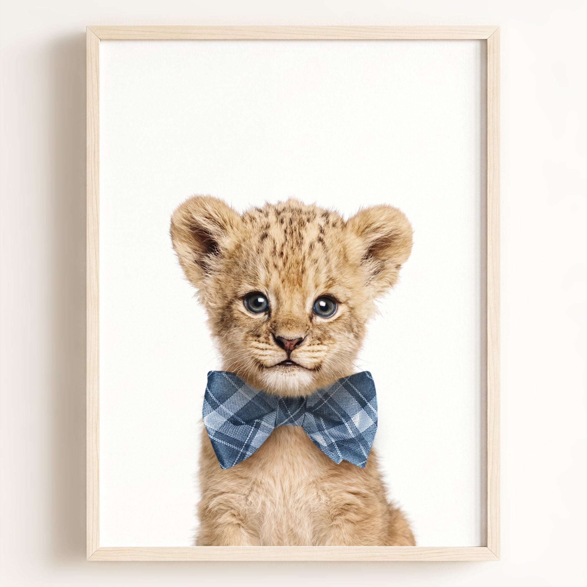 Baby Lion