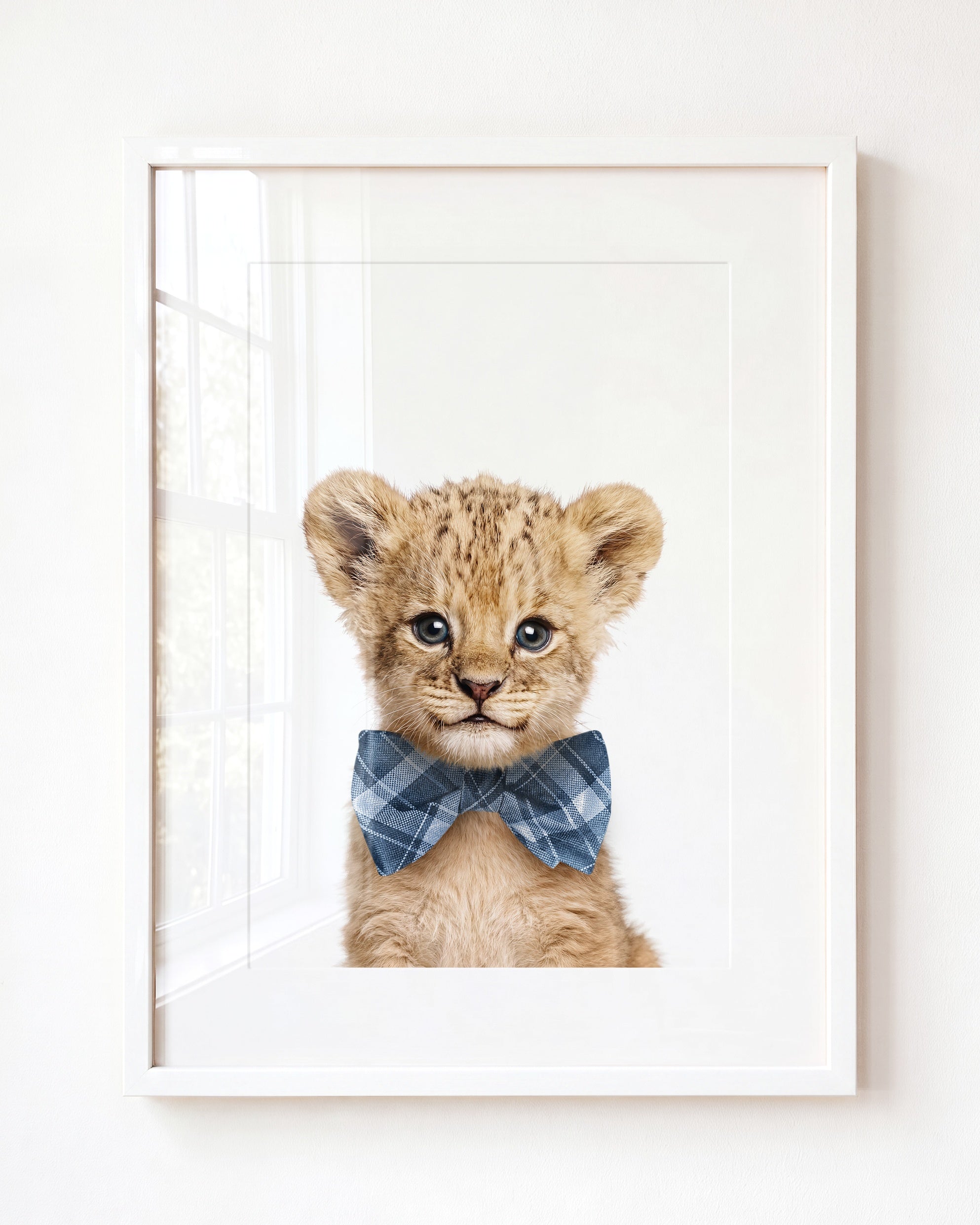 Baby Lion