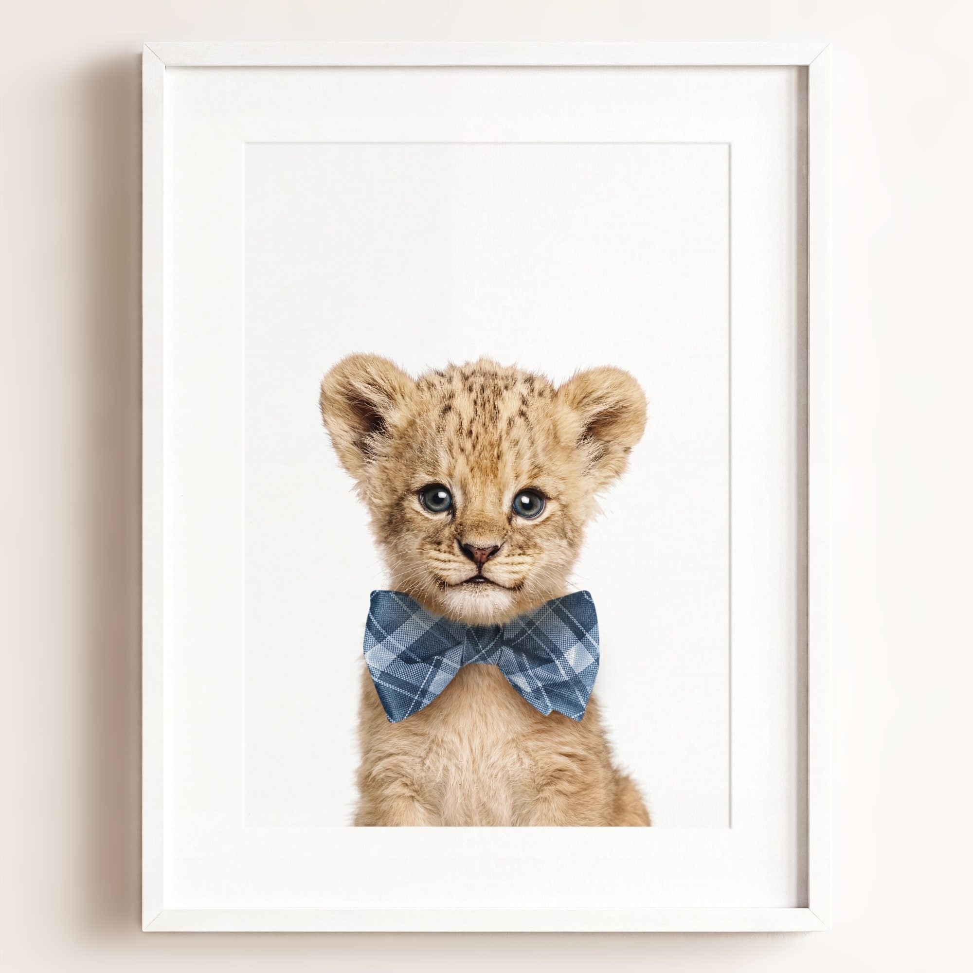 Baby Lion